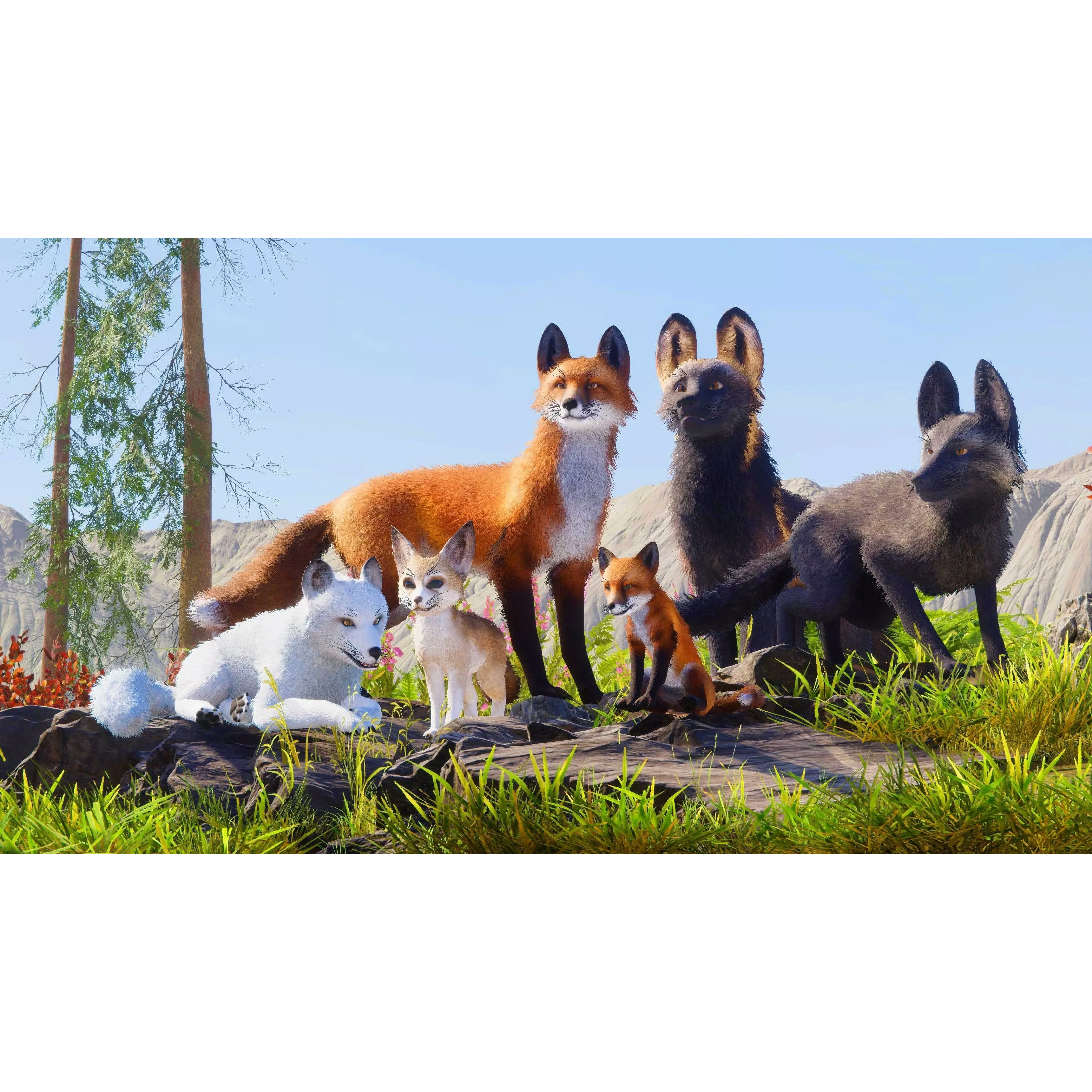 Realistic Foxes Low-poly 3D model