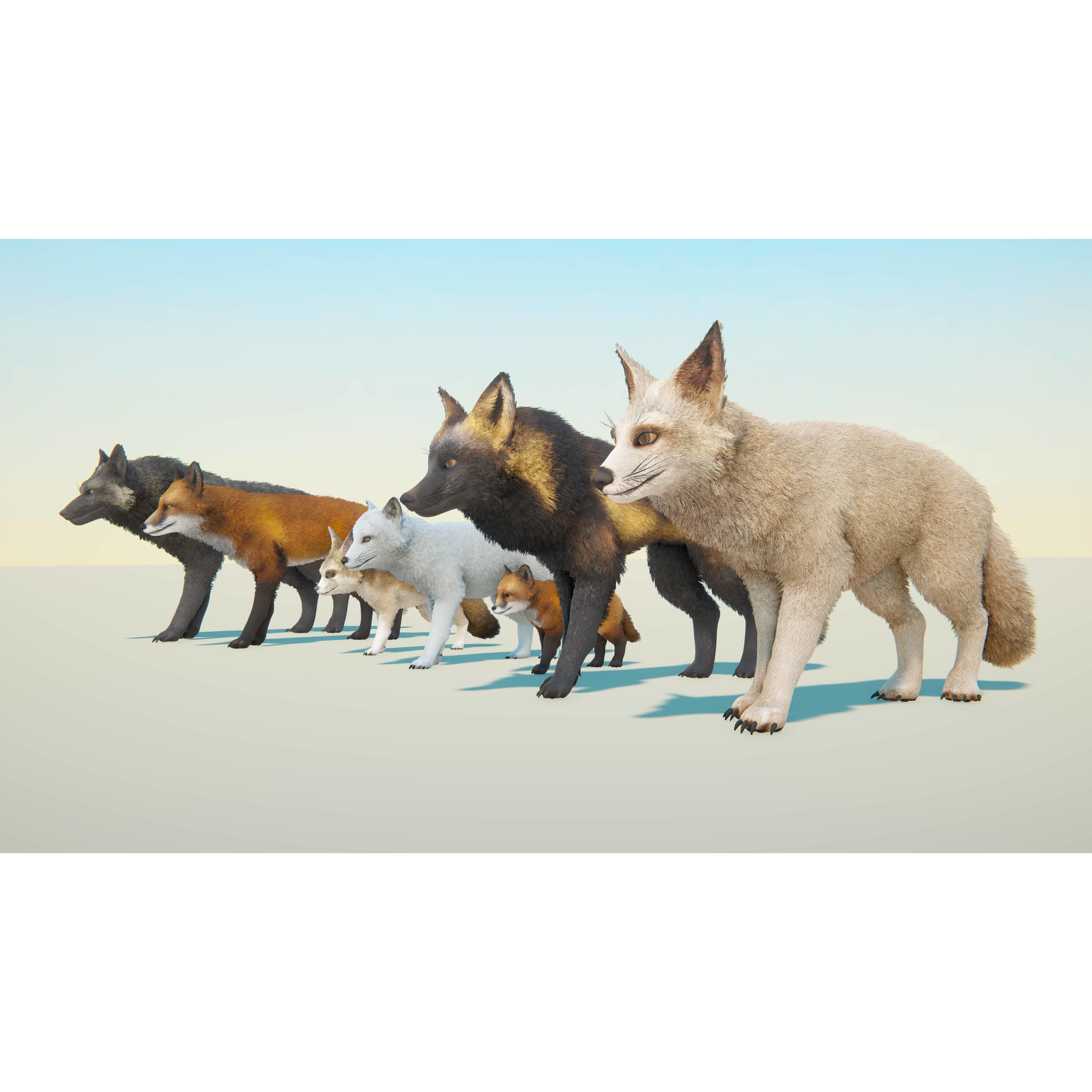 Realistic Foxes Low-poly 3D model 3