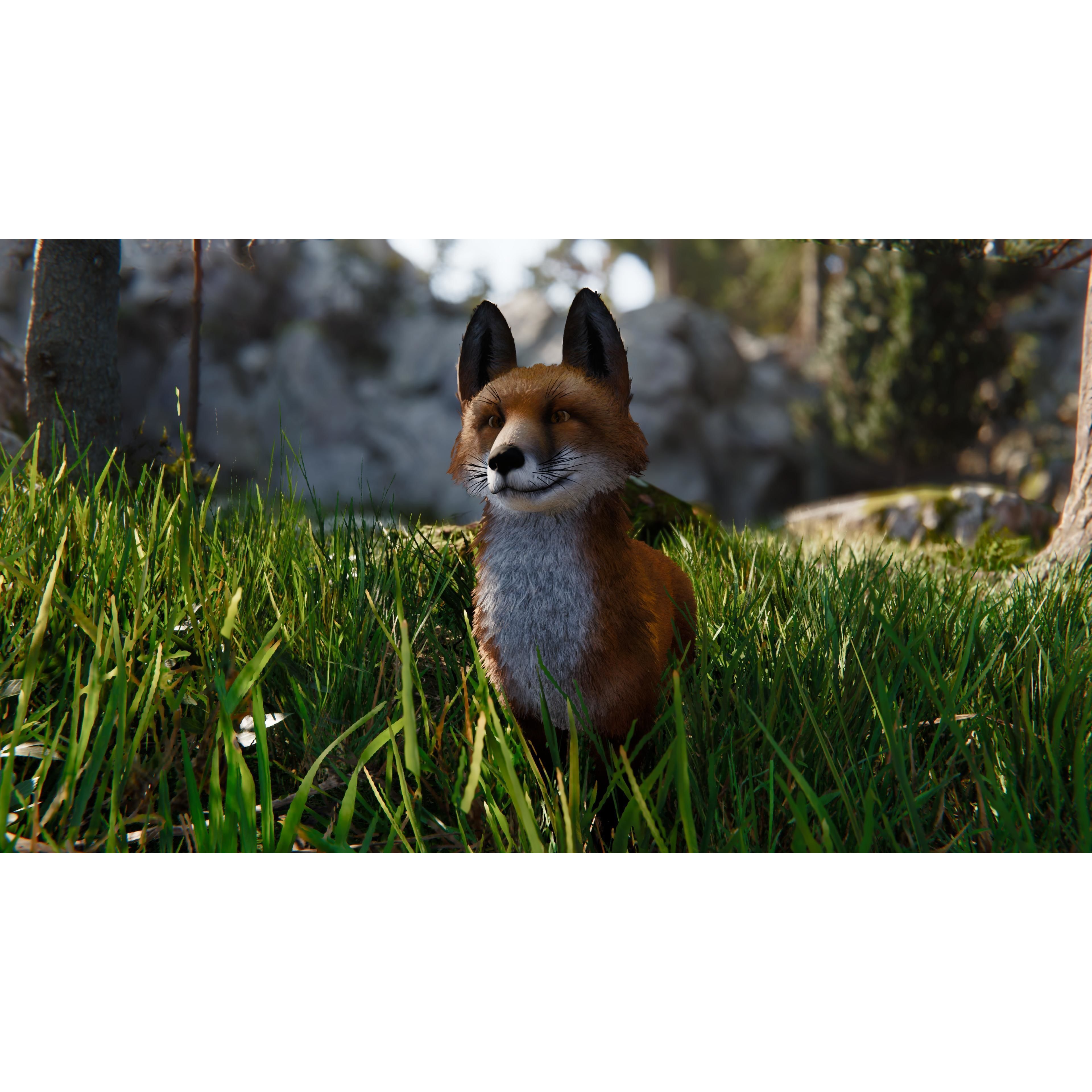 Realistic Foxes Low-poly 3D model 5