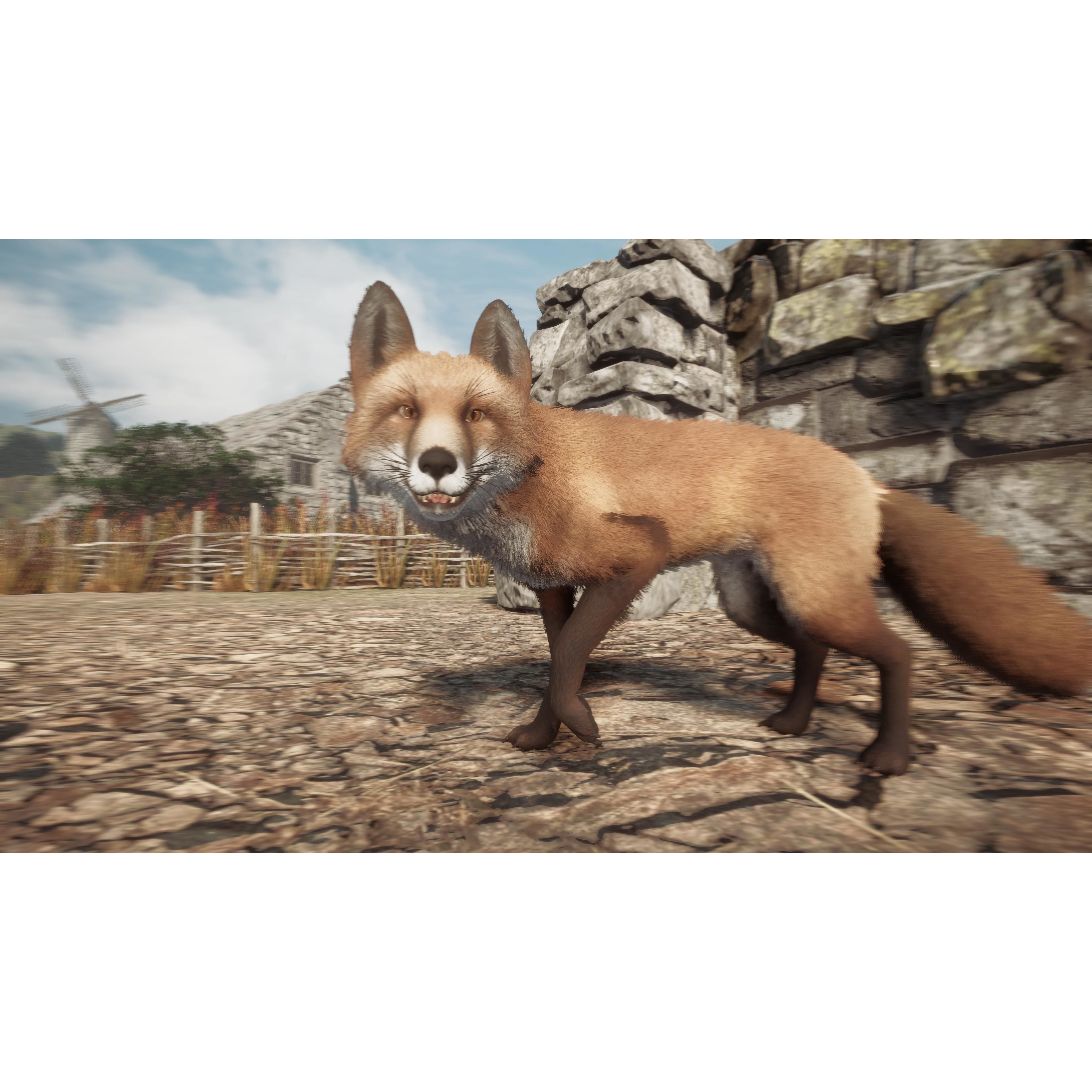 Realistic Foxes Low-poly 3D model 6