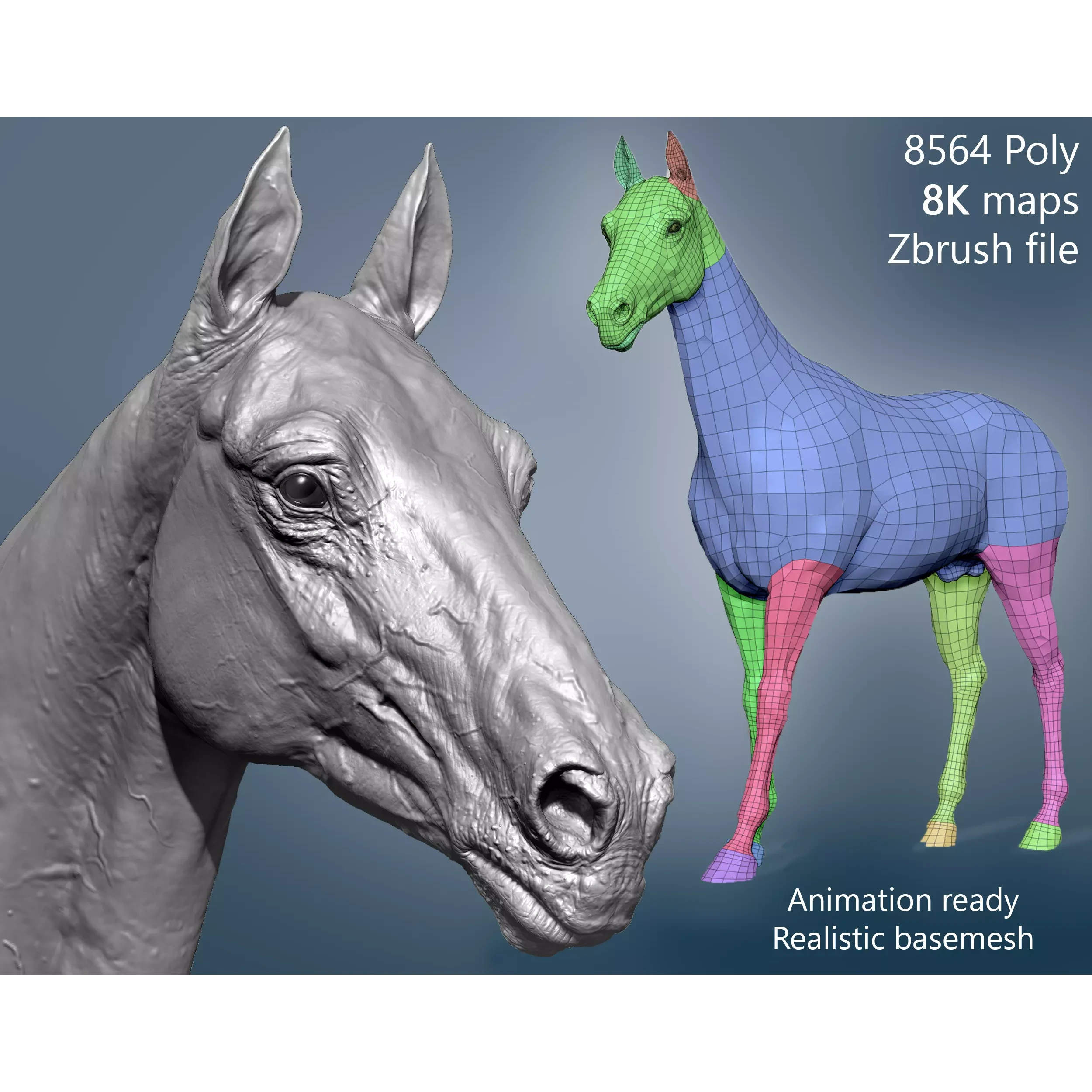Realistic Horse Basemesh with LOD s 3D model