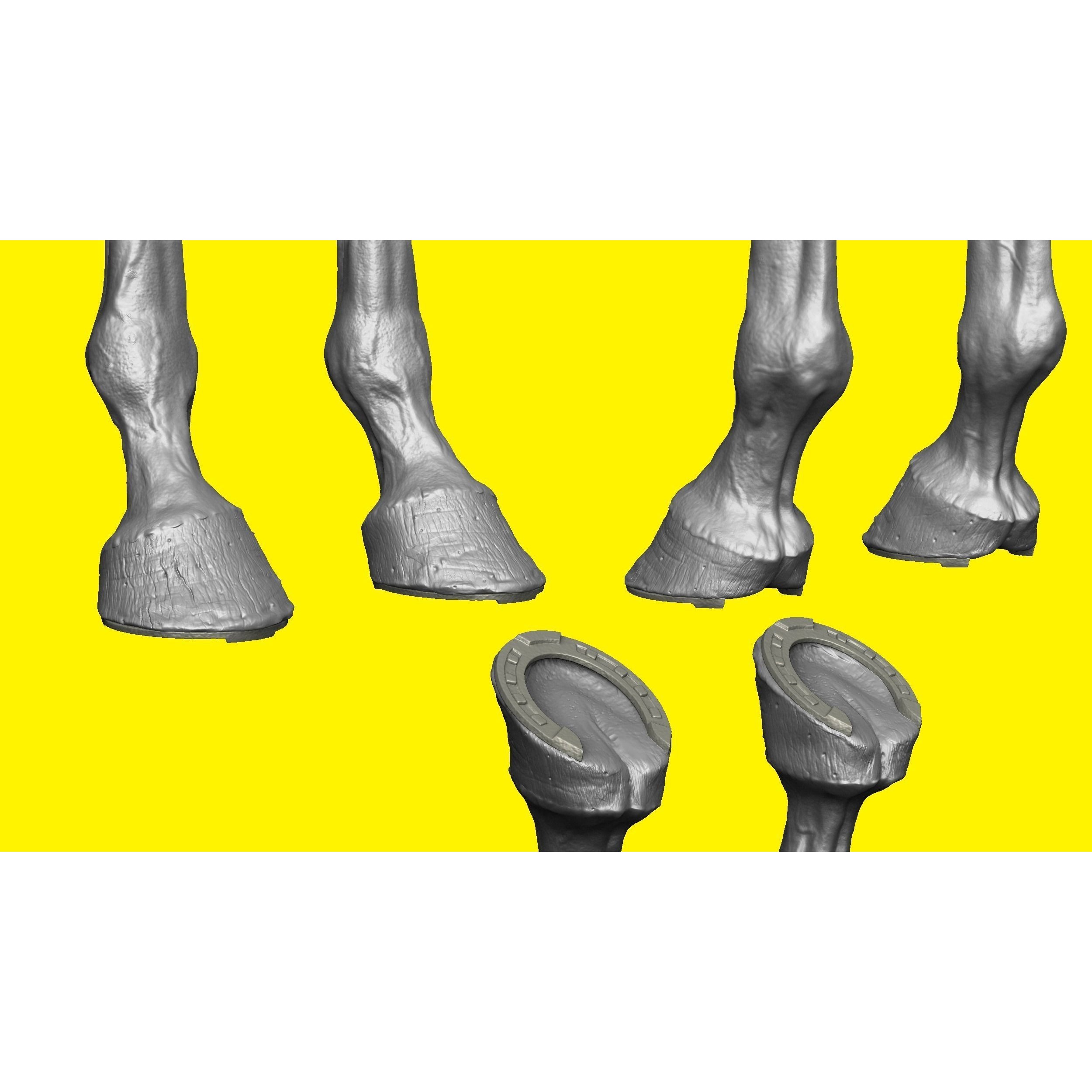 Realistic Horse Basemesh with LOD s 3D model 4