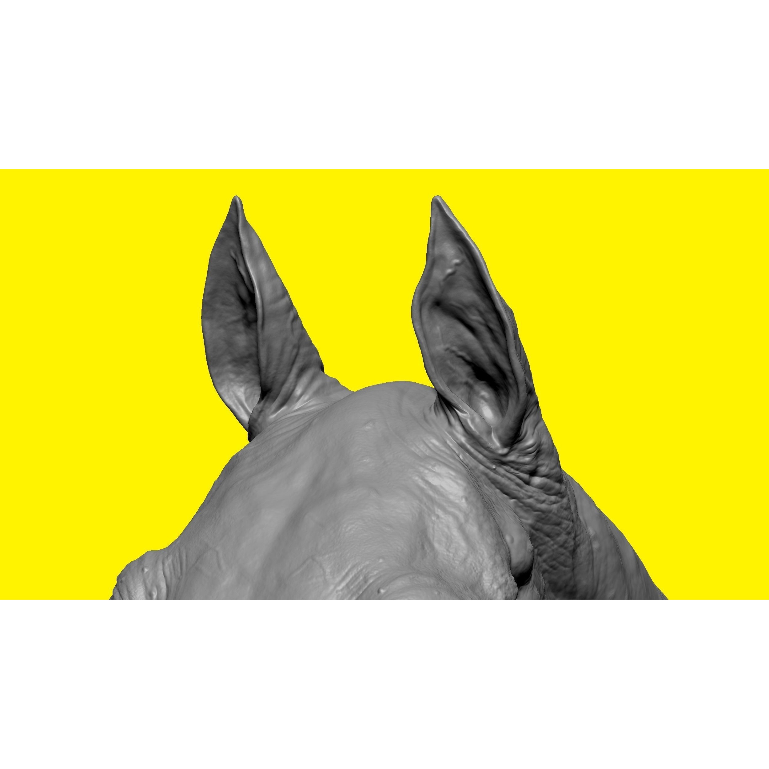 Realistic Horse Basemesh with LOD s 3D model 7