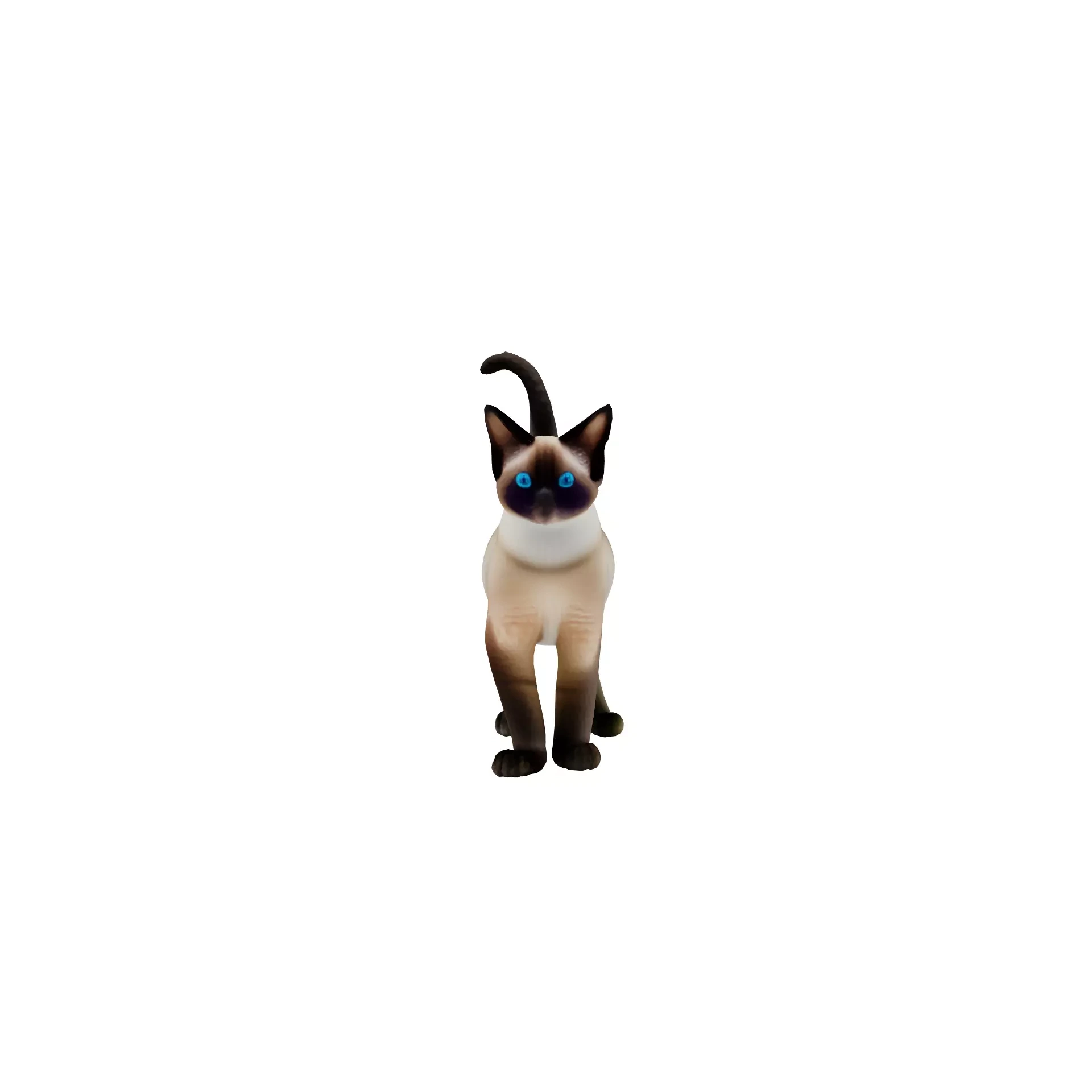 Realistic standing siamese cat with vivid blue eyes Free 3D model