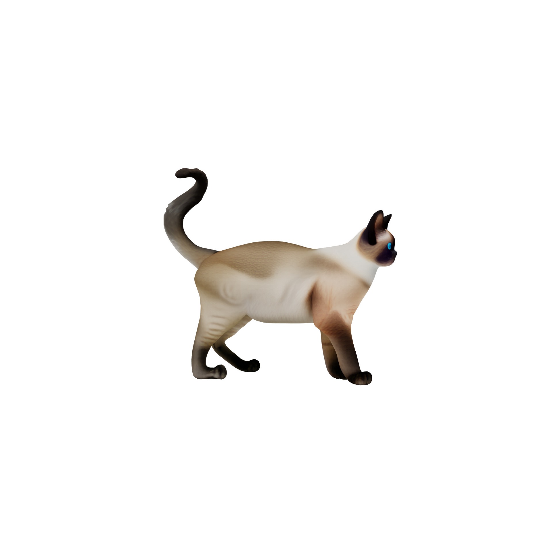 Realistic standing siamese cat with vivid blue eyes Free 3D model 5