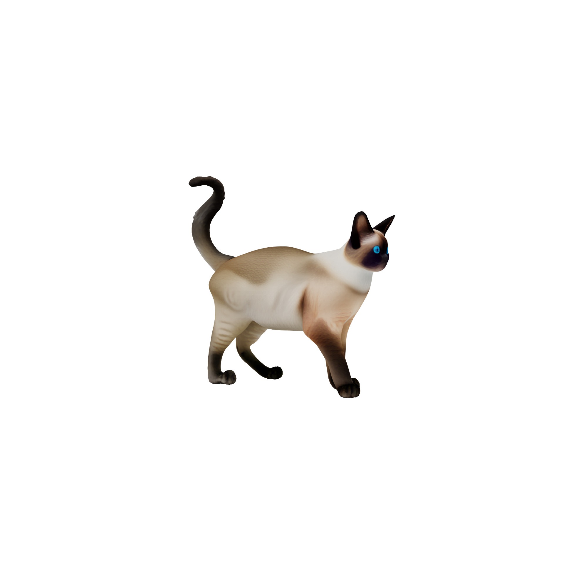 Realistic standing siamese cat with vivid blue eyes Free 3D model 6