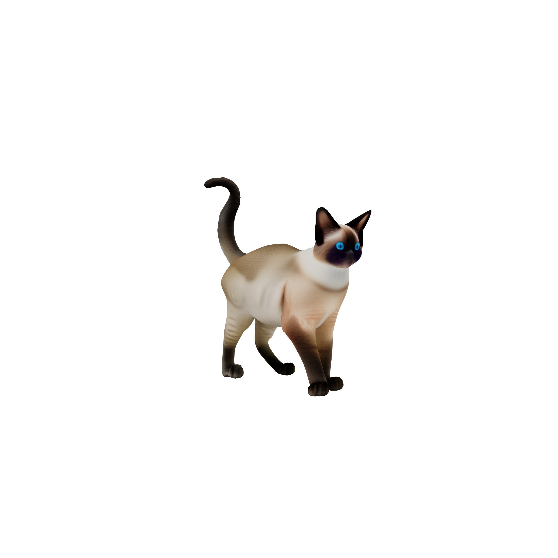 Realistic standing siamese cat with vivid blue eyes Free 3D model 7