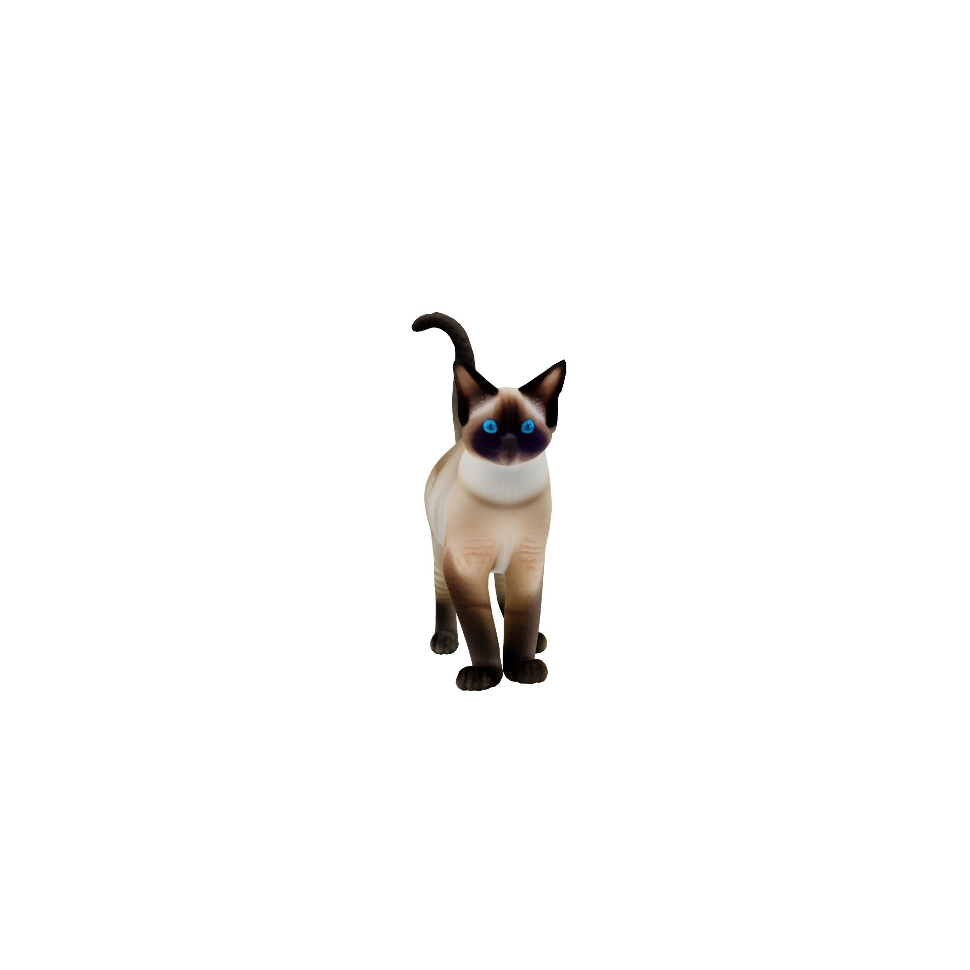 Realistic standing siamese cat with vivid blue eyes Free 3D model 9