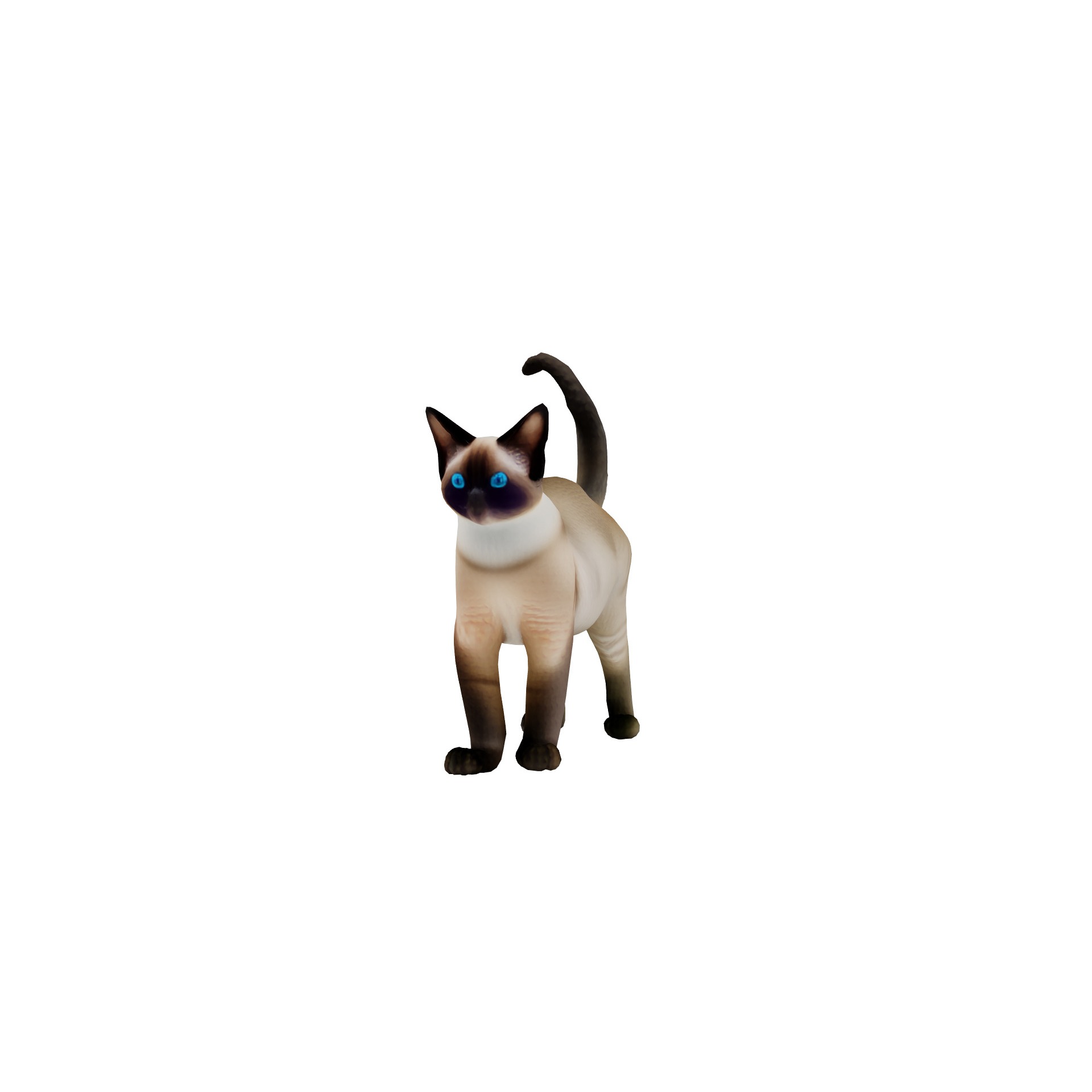 Realistic standing siamese cat with vivid blue eyes Free 3D model 10