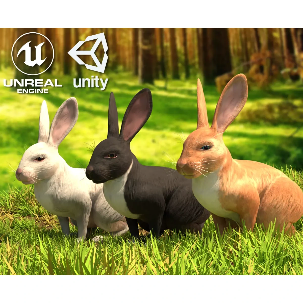 Reallistic Animated Rabbit Low-poly 3D model