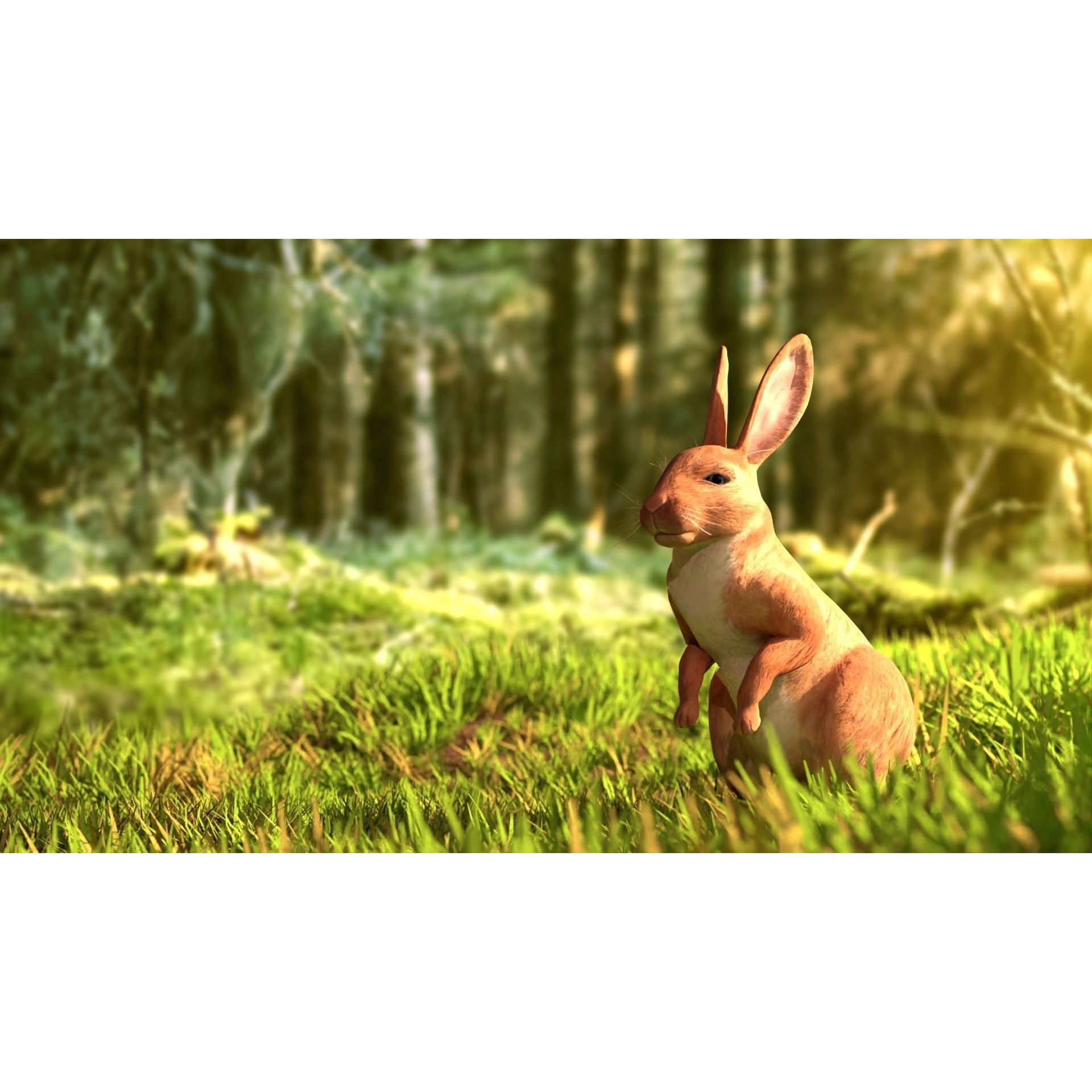Reallistic Animated Rabbit Low-poly 3D model 3