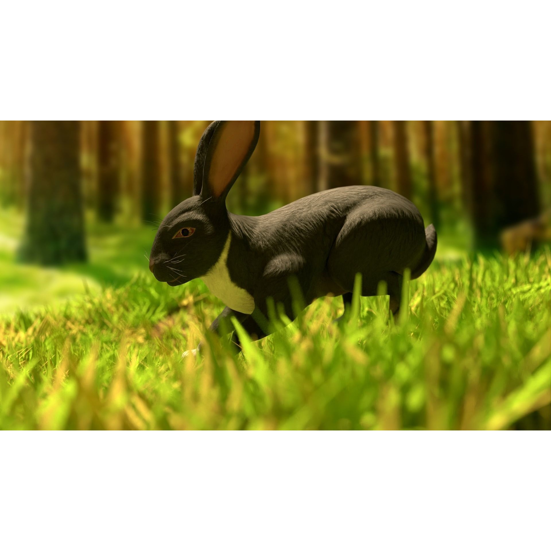 Reallistic Animated Rabbit Low-poly 3D model 4