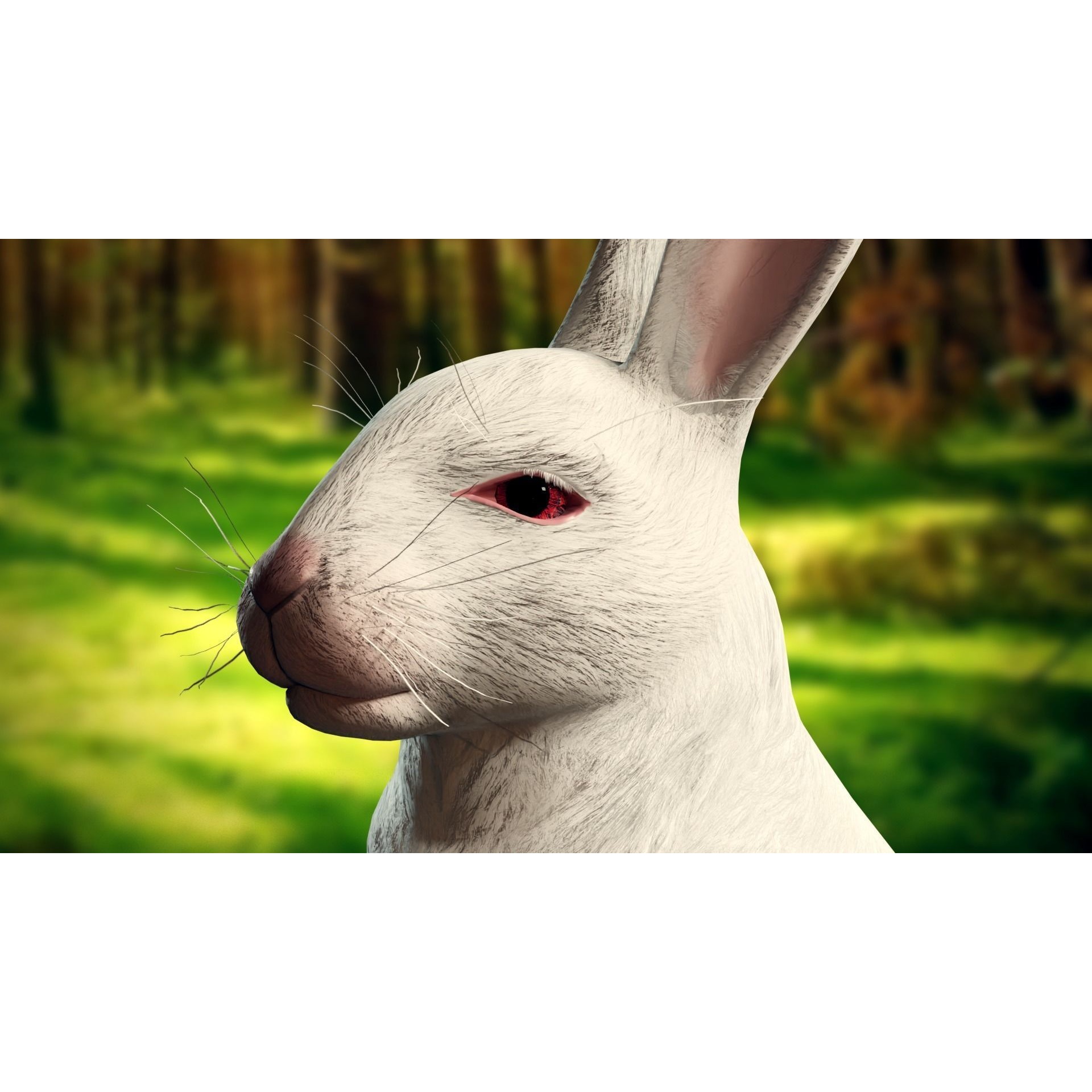 Reallistic Animated Rabbit Low-poly 3D model 6