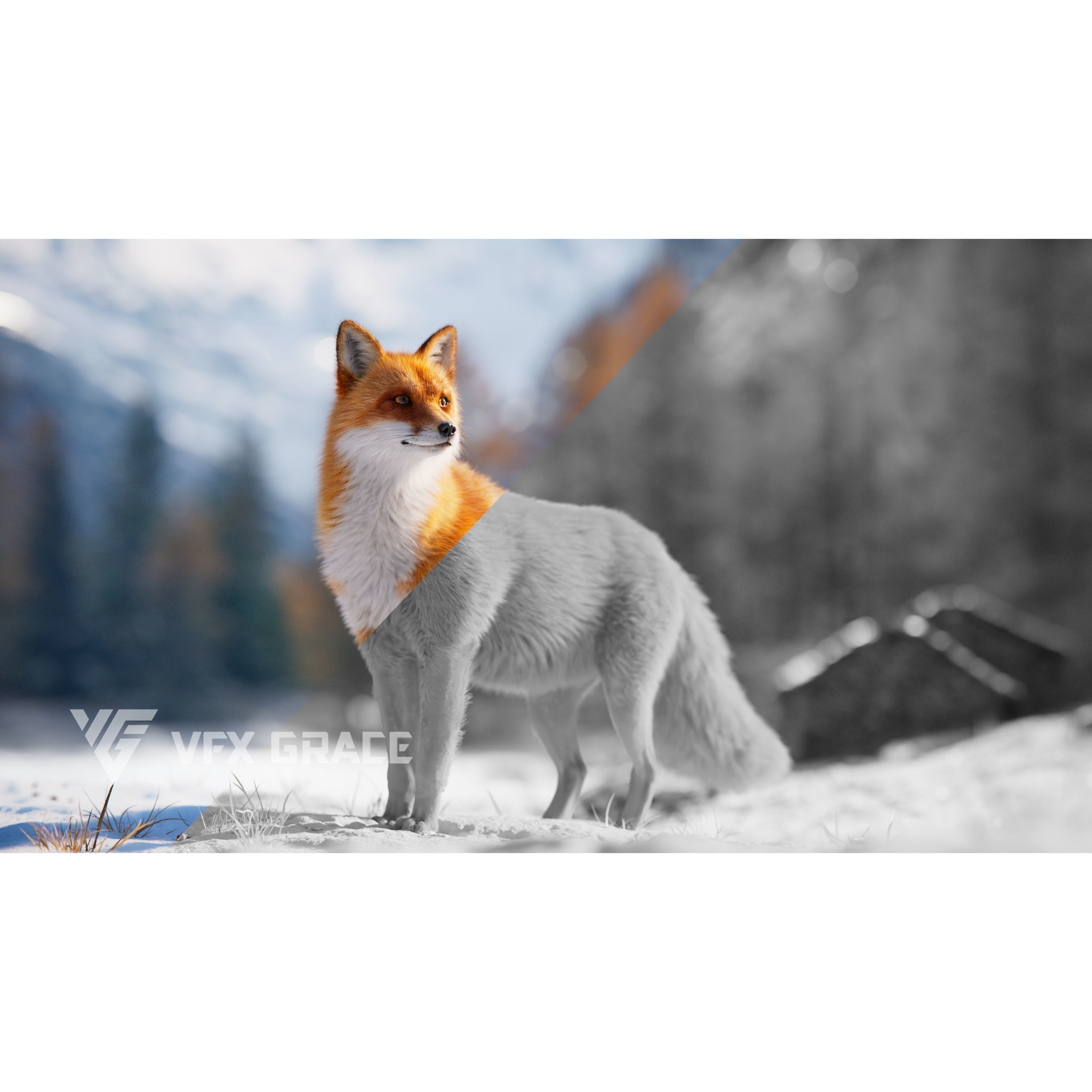 Red Fox Animation VFX Grace 3D model 2