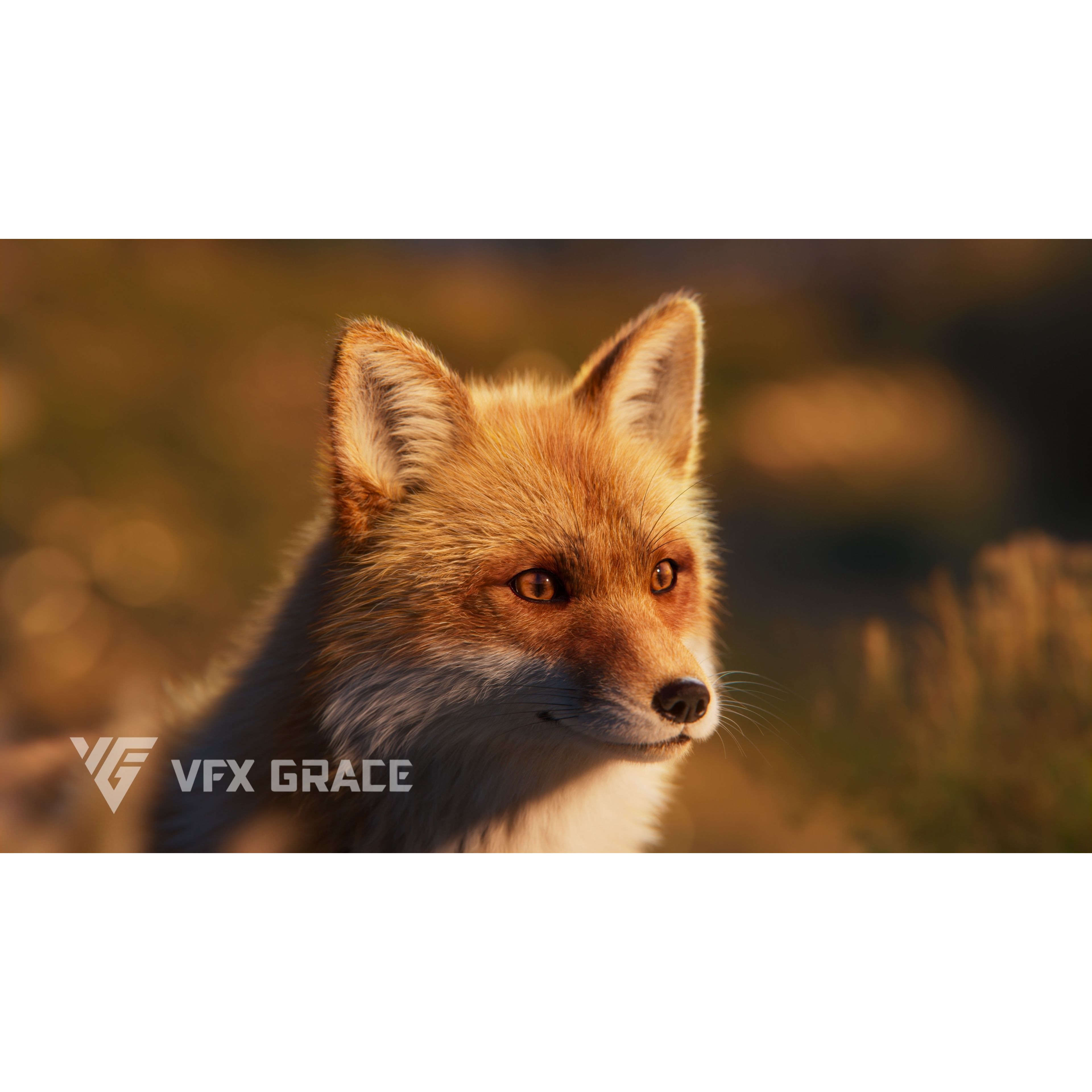 Red Fox Animation VFX Grace 3D model 5