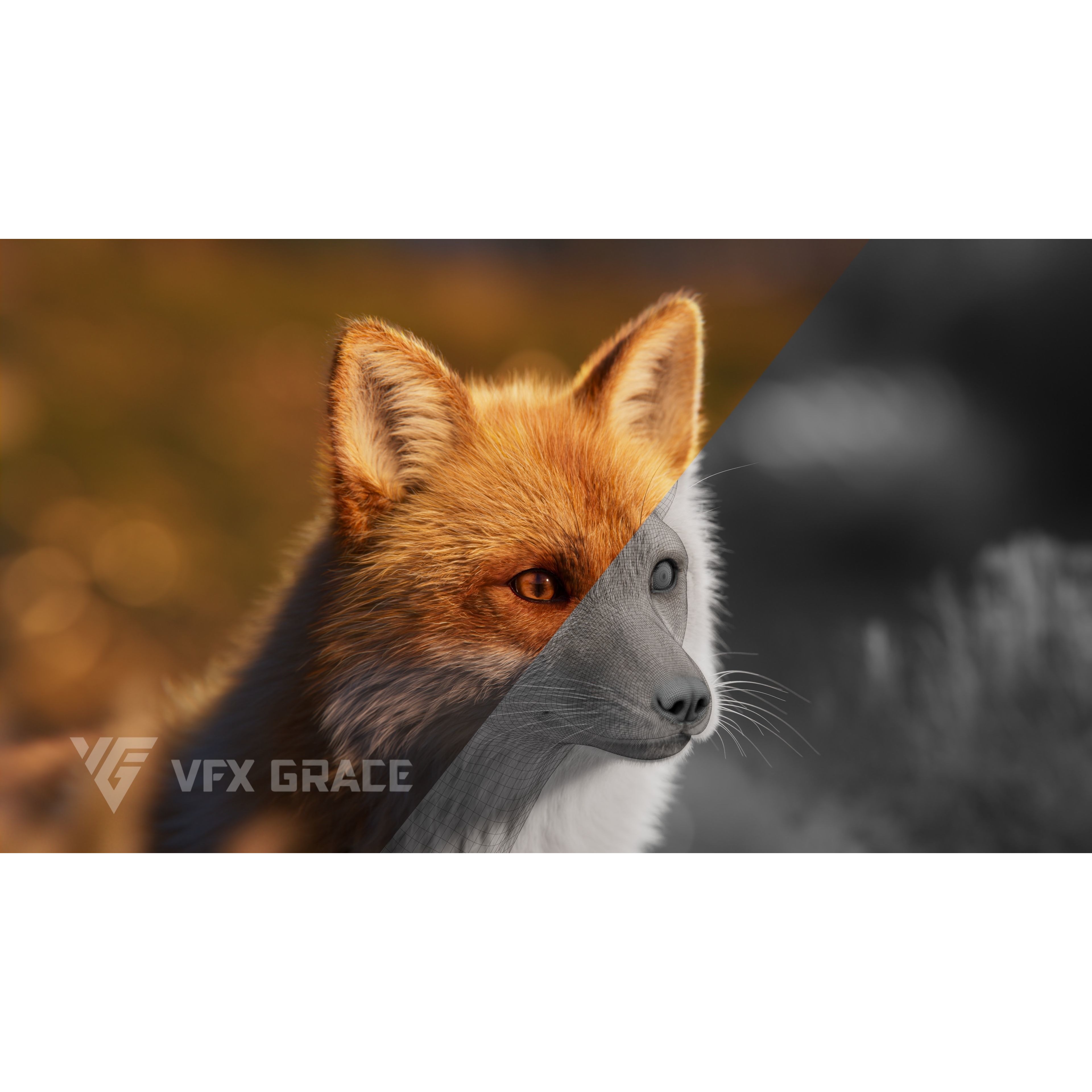Red Fox Animation VFX Grace 3D model 6