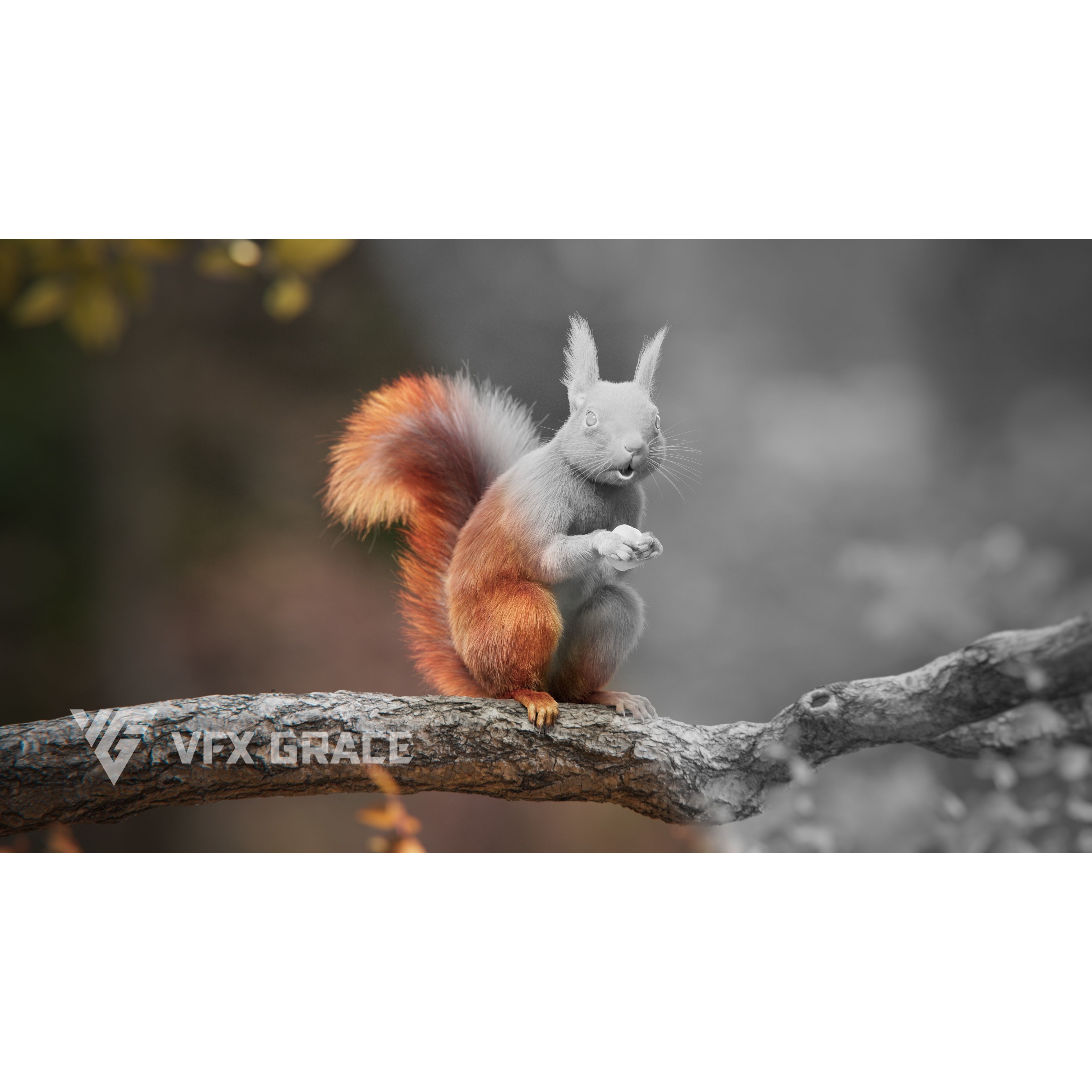 RedSquirrel Summer Animated VFX Grace 3D model 4
