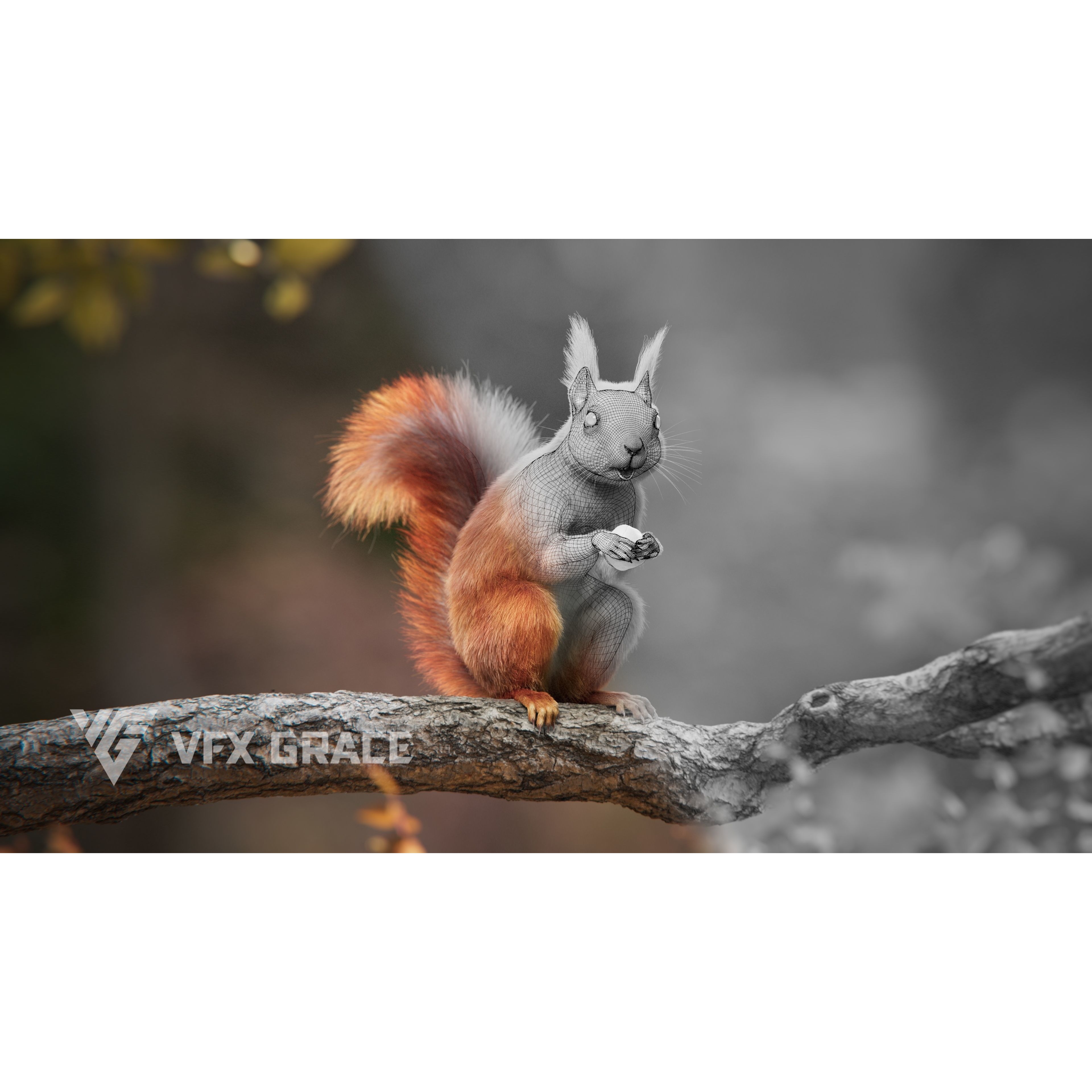 RedSquirrel Summer Animated VFX Grace 3D model 5