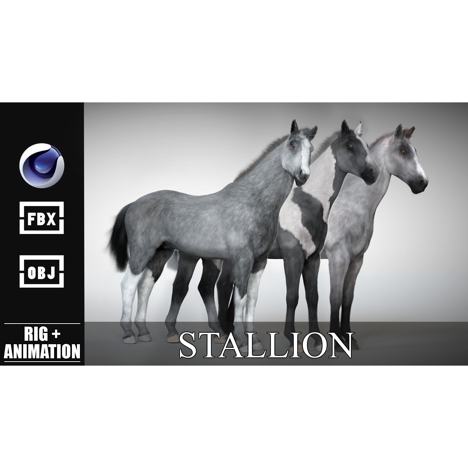 Rigged and Animated Stallion 3D model 2