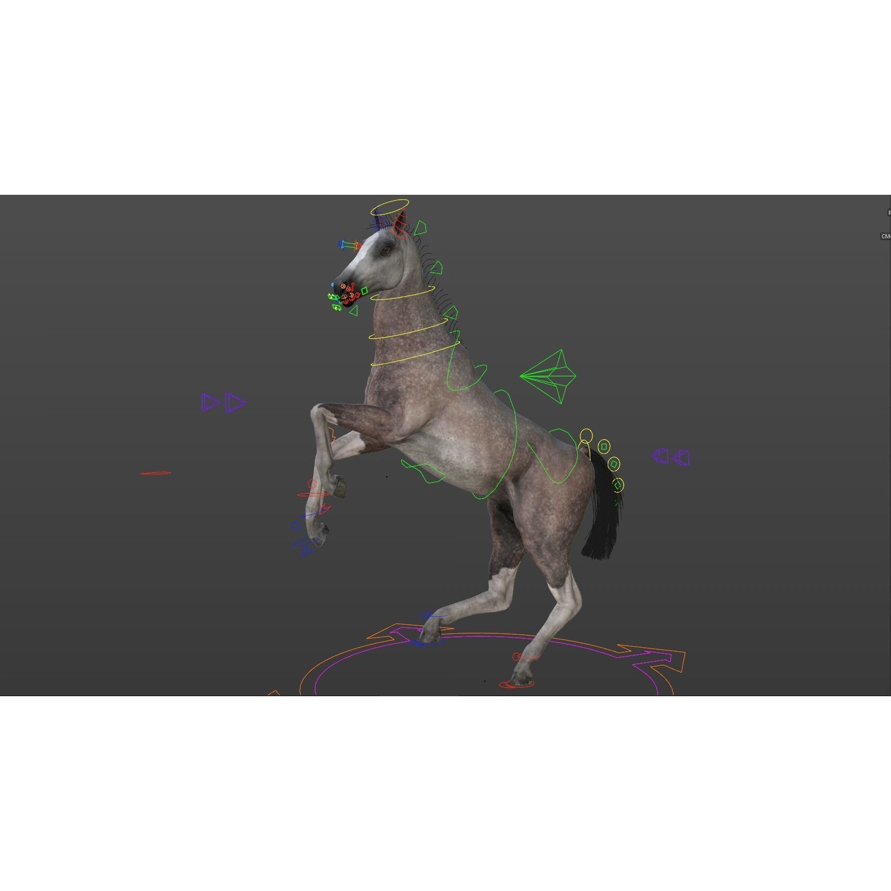 Rigged and Animated Stallion 3D model 9