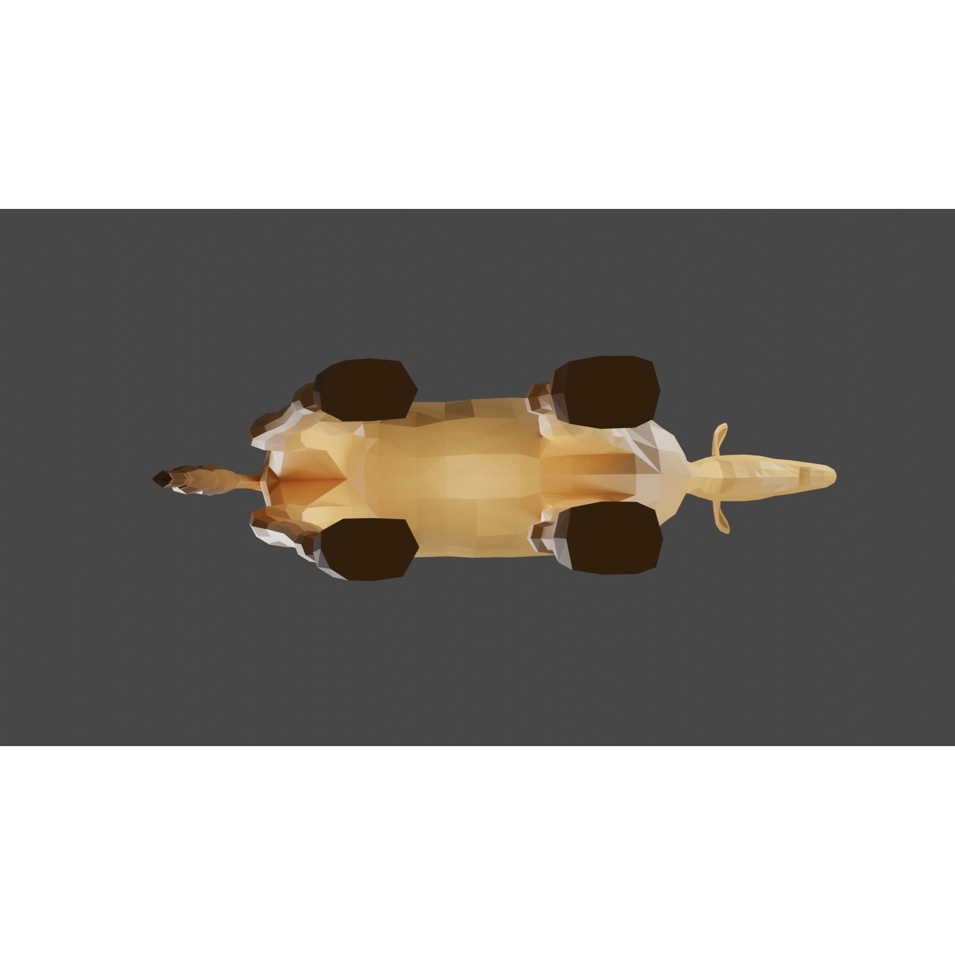 Rigged Giraffe Free low-poly 3D model 9