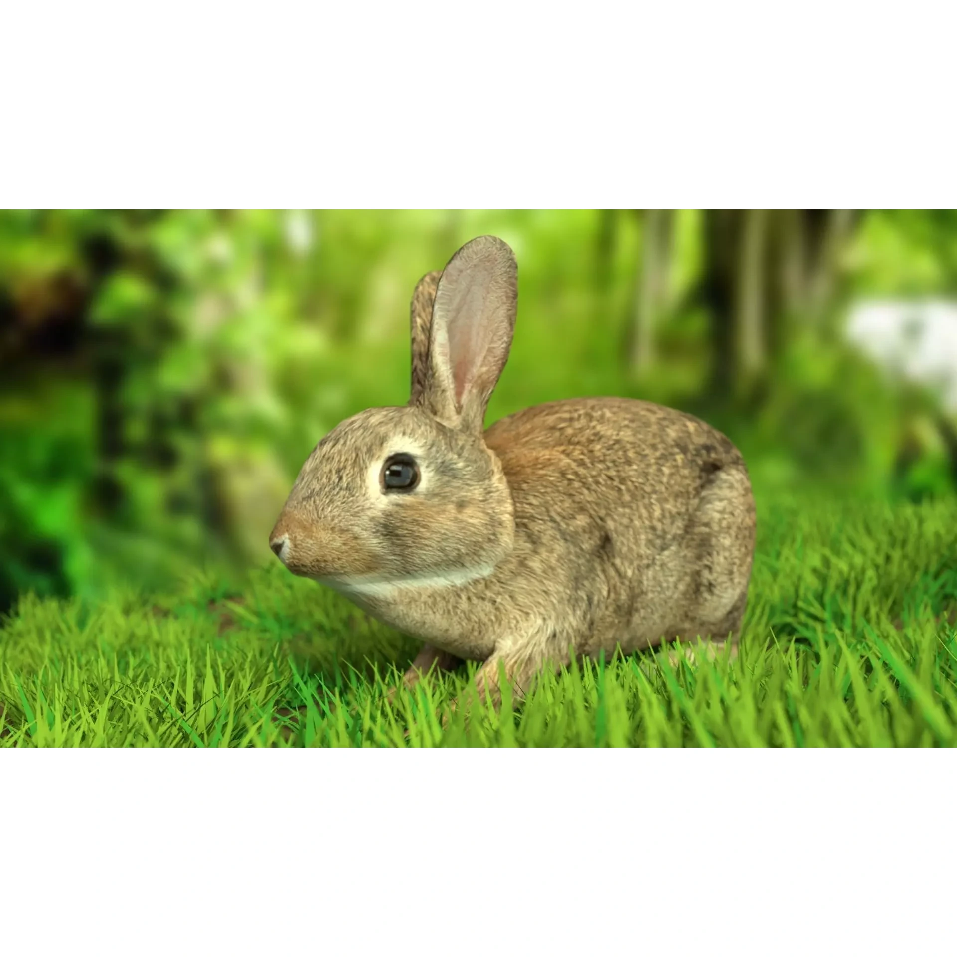 Rigged Rabbit Low-poly 3D model