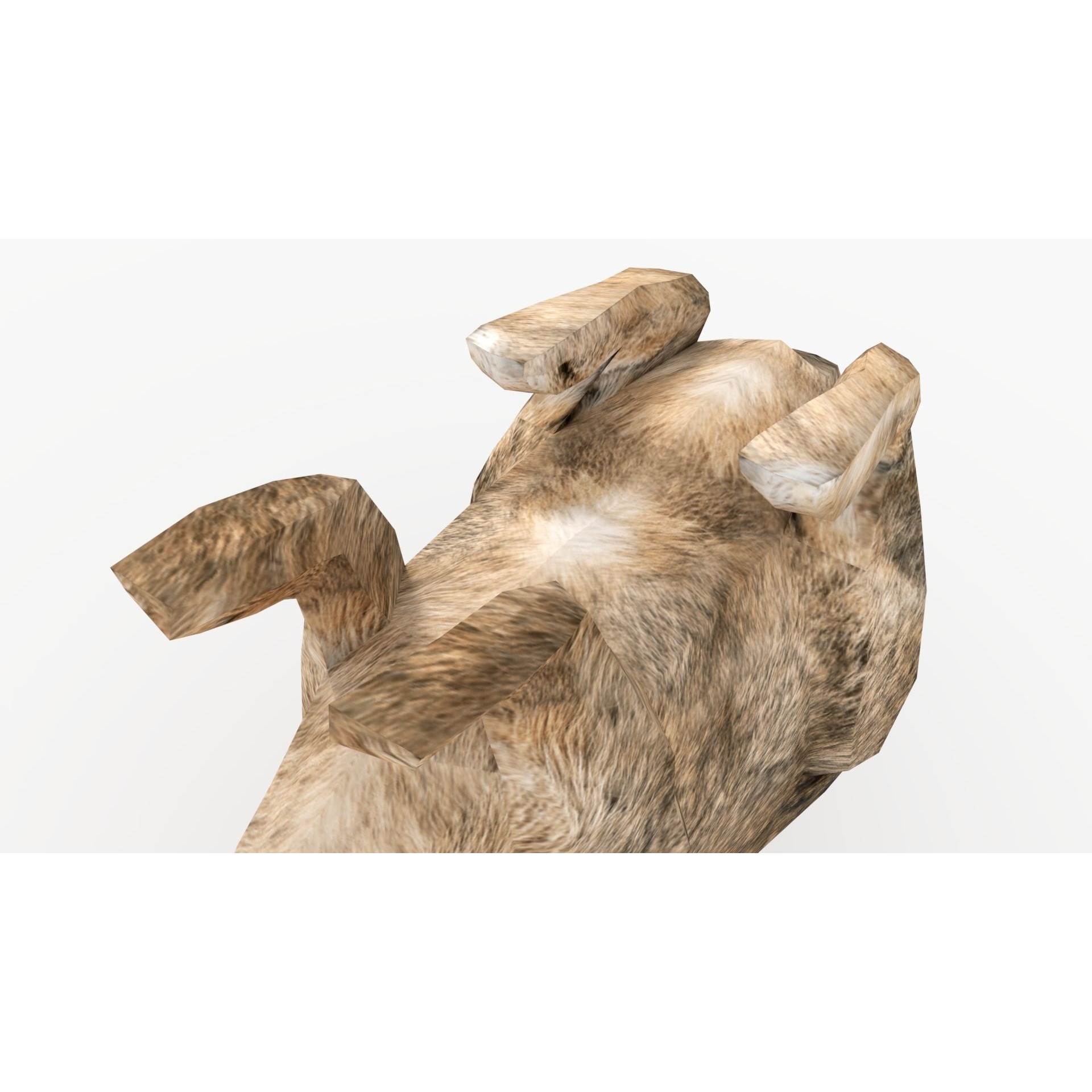Rigged Rabbit Low-poly 3D model 9
