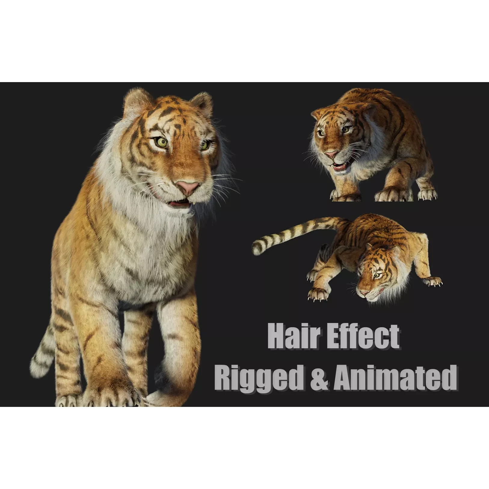 rigged tiger wild cat beast Low-poly 3D model