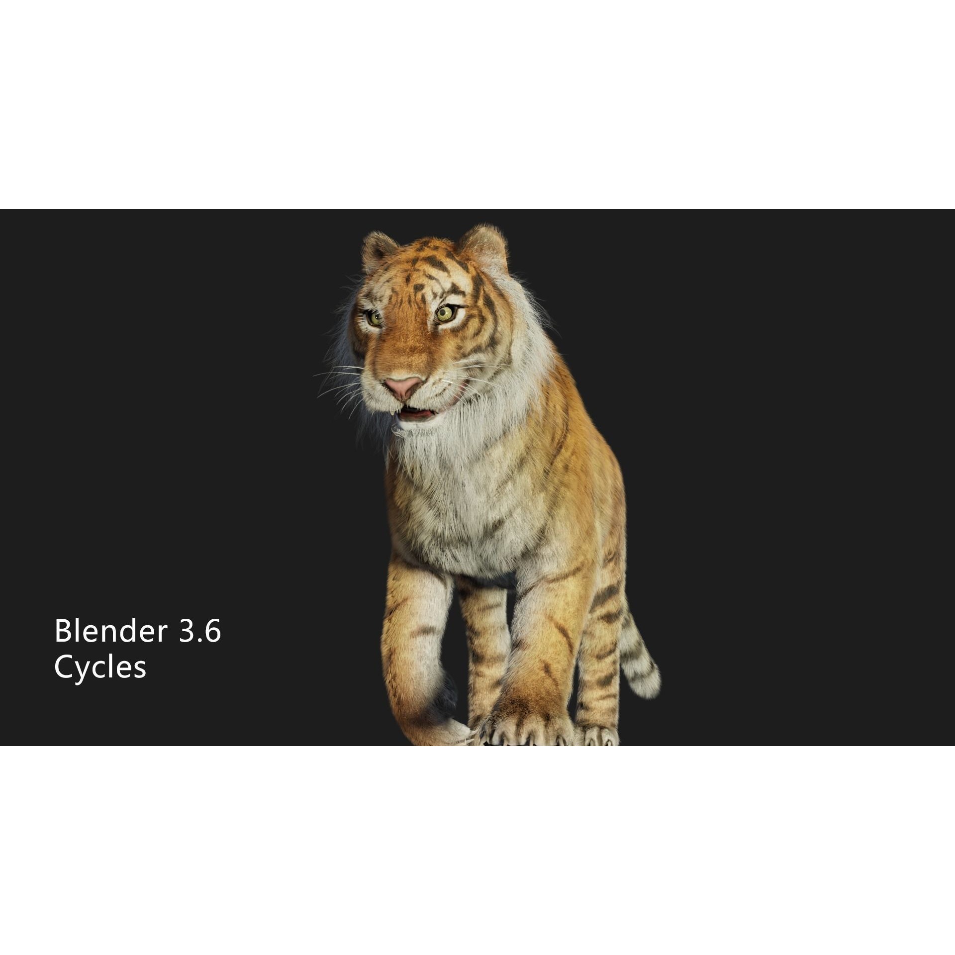 rigged tiger wild cat beast Low-poly 3D model 2