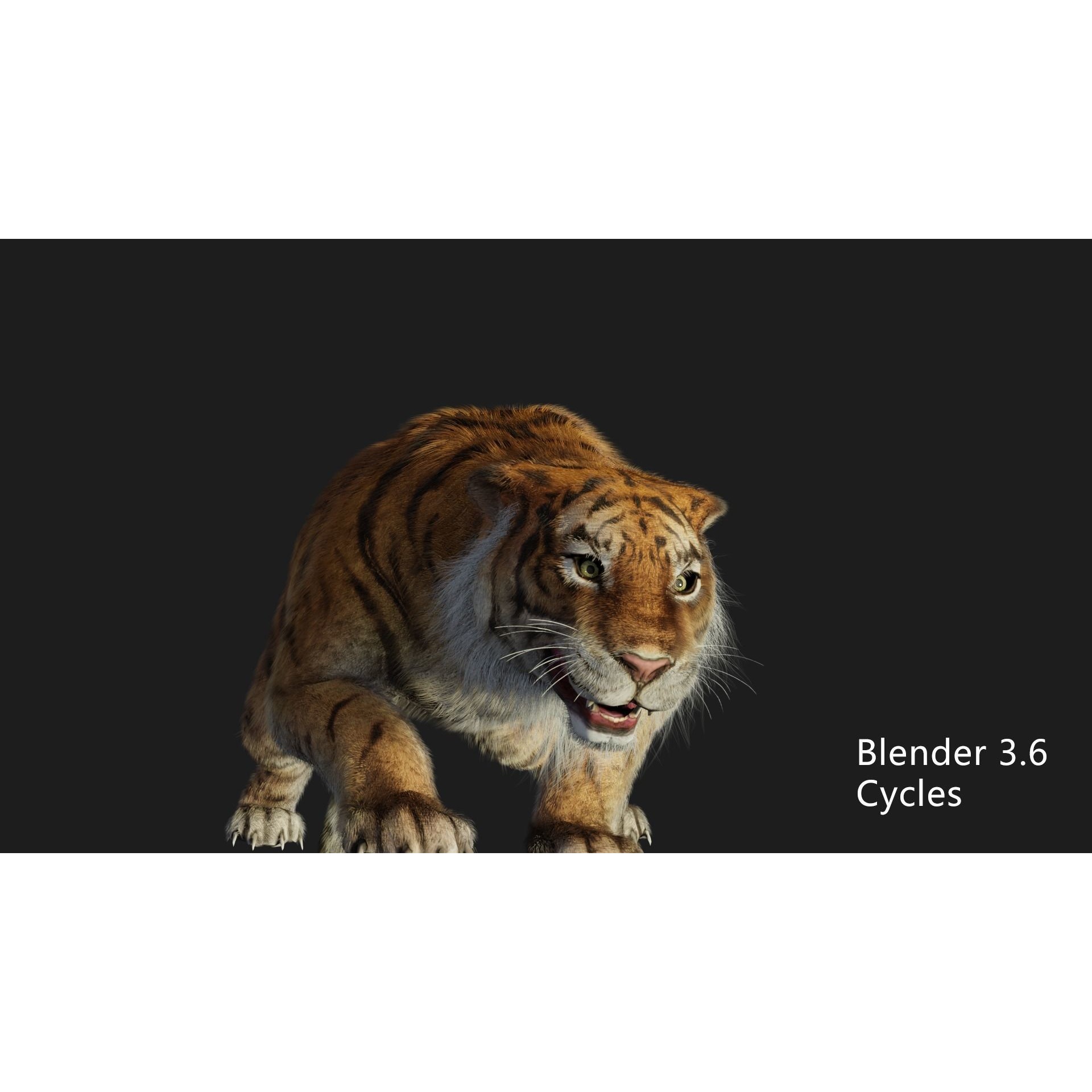 rigged tiger wild cat beast Low-poly 3D model 5