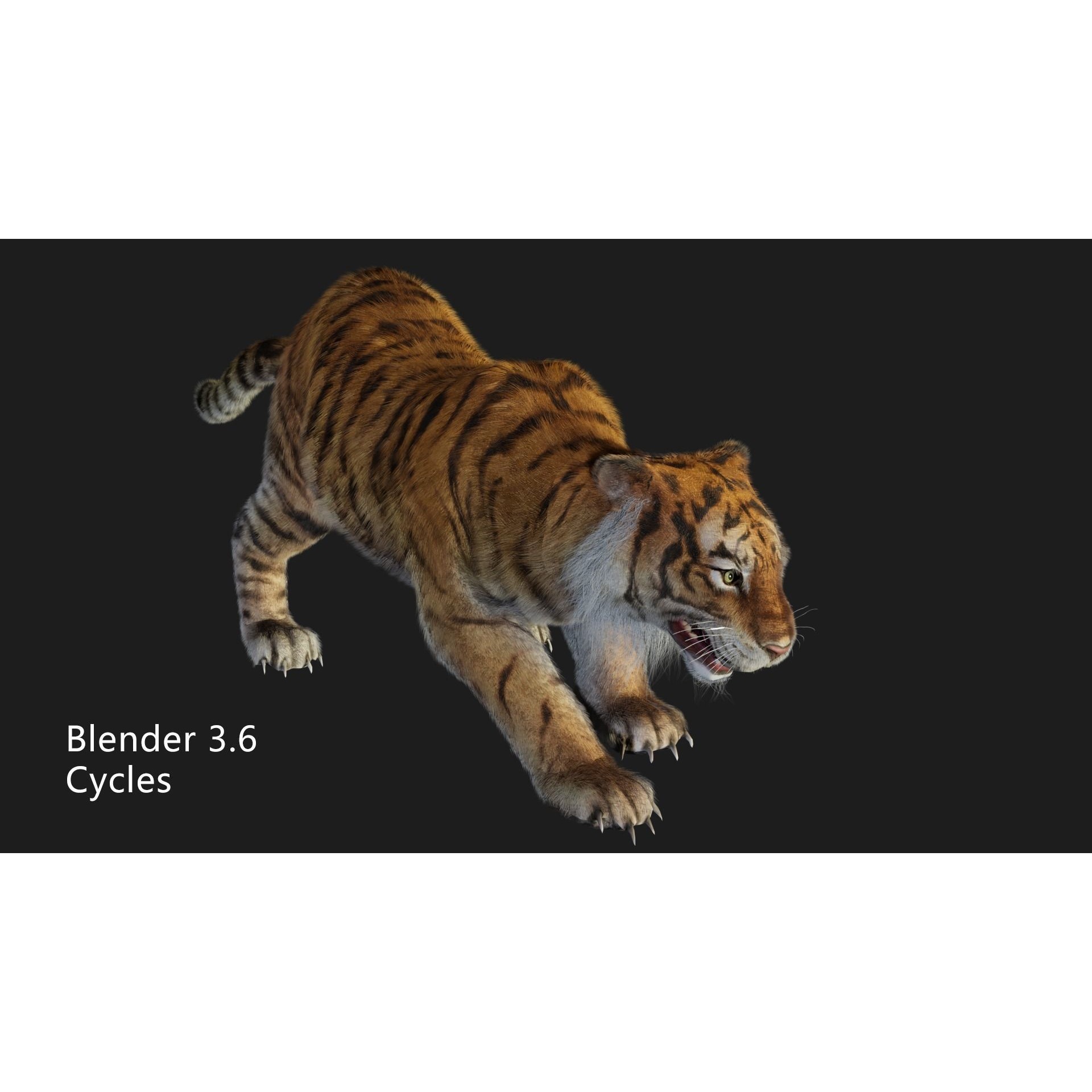 rigged tiger wild cat beast Low-poly 3D model 6