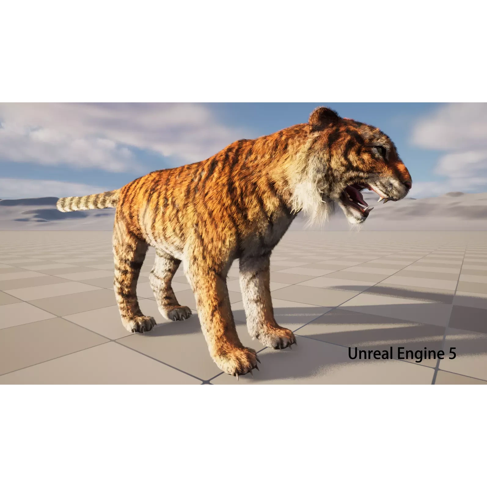 rigged tiger wild cat beast Low-poly 3D model 8