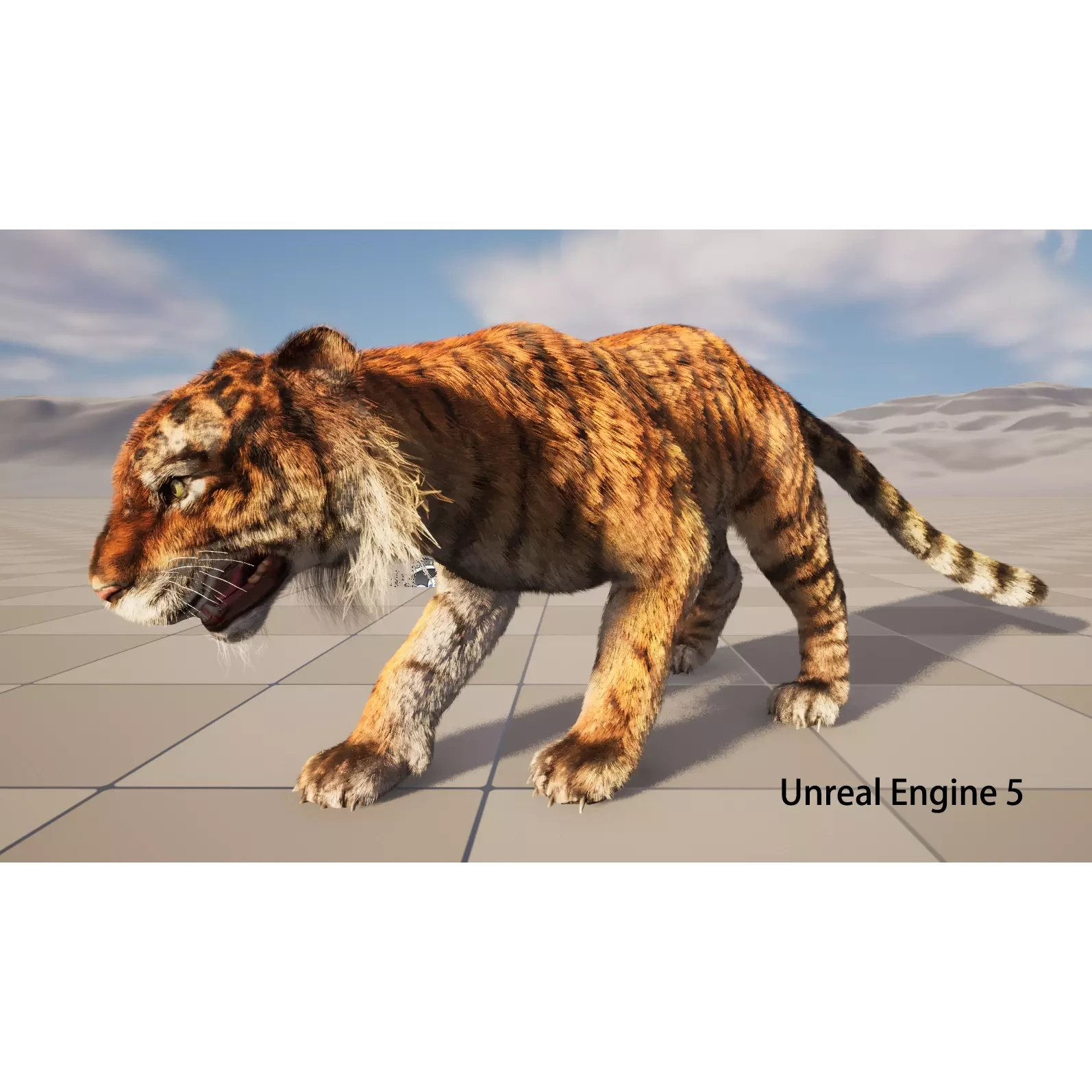 rigged tiger wild cat beast Low-poly 3D model 9
