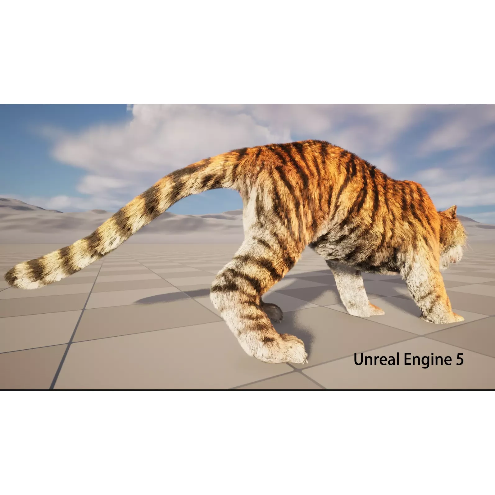 rigged tiger wild cat beast Low-poly 3D model 10