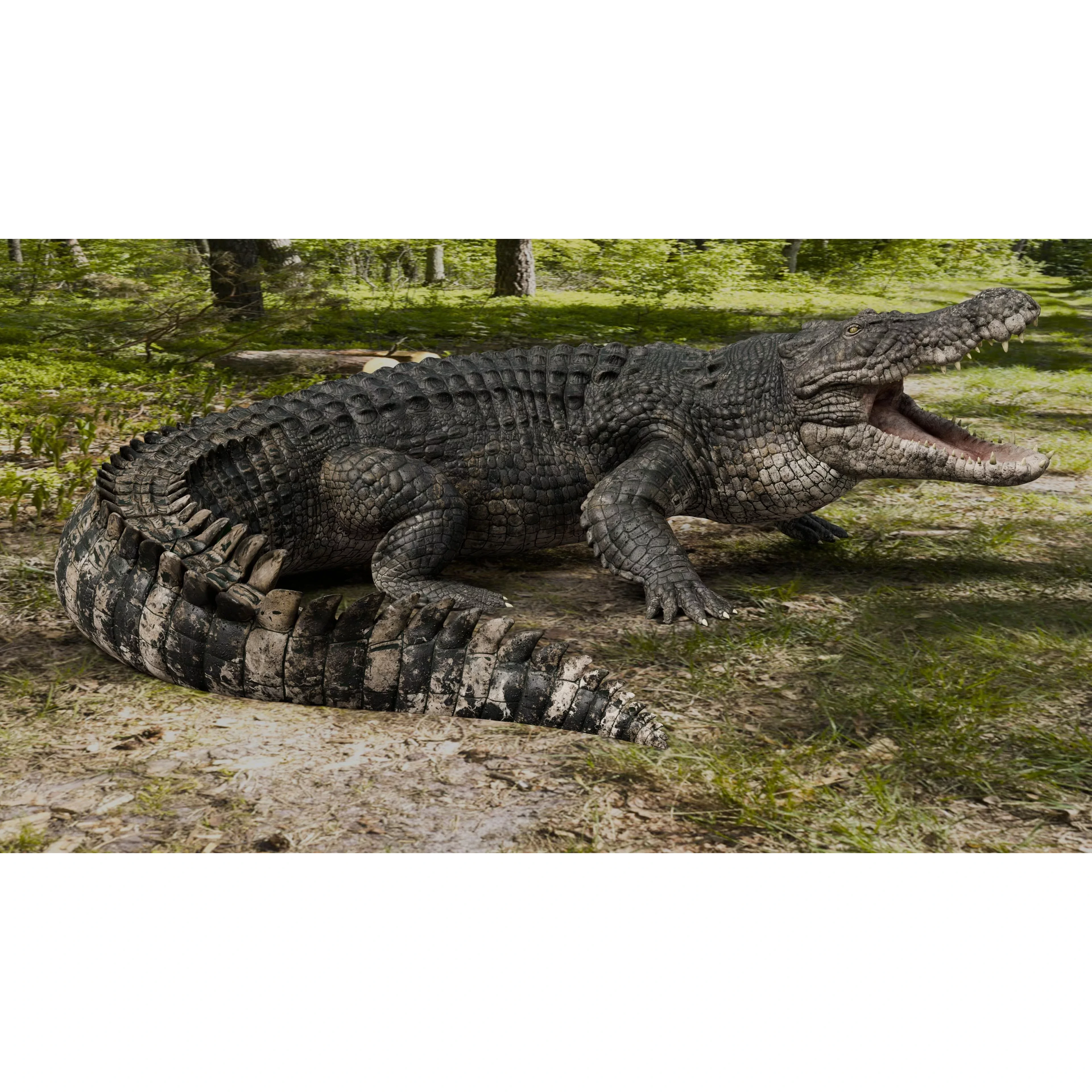 Saltwater Crocodile Animated Low-poly 3D model