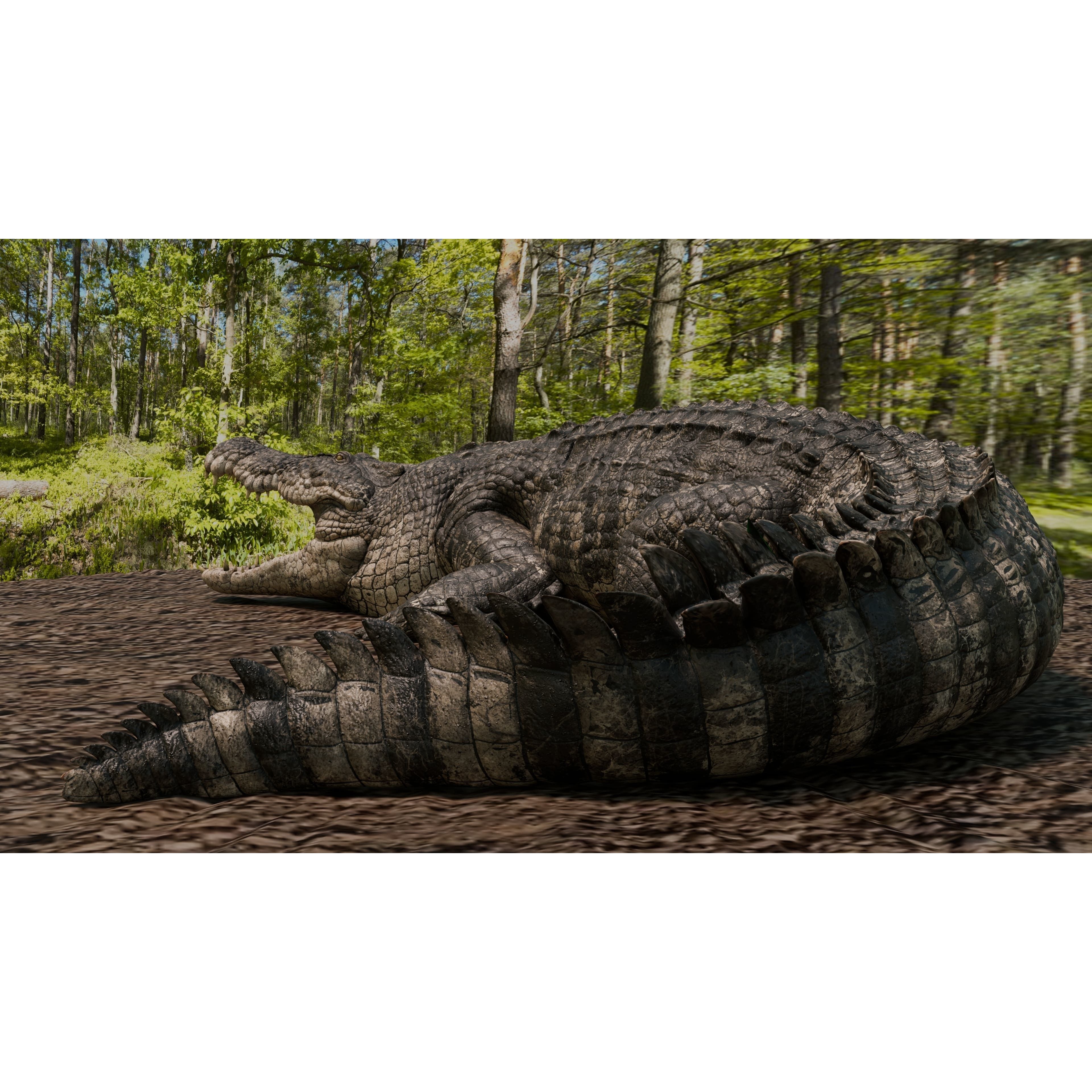 Saltwater Crocodile Animated Low-poly 3D model 3