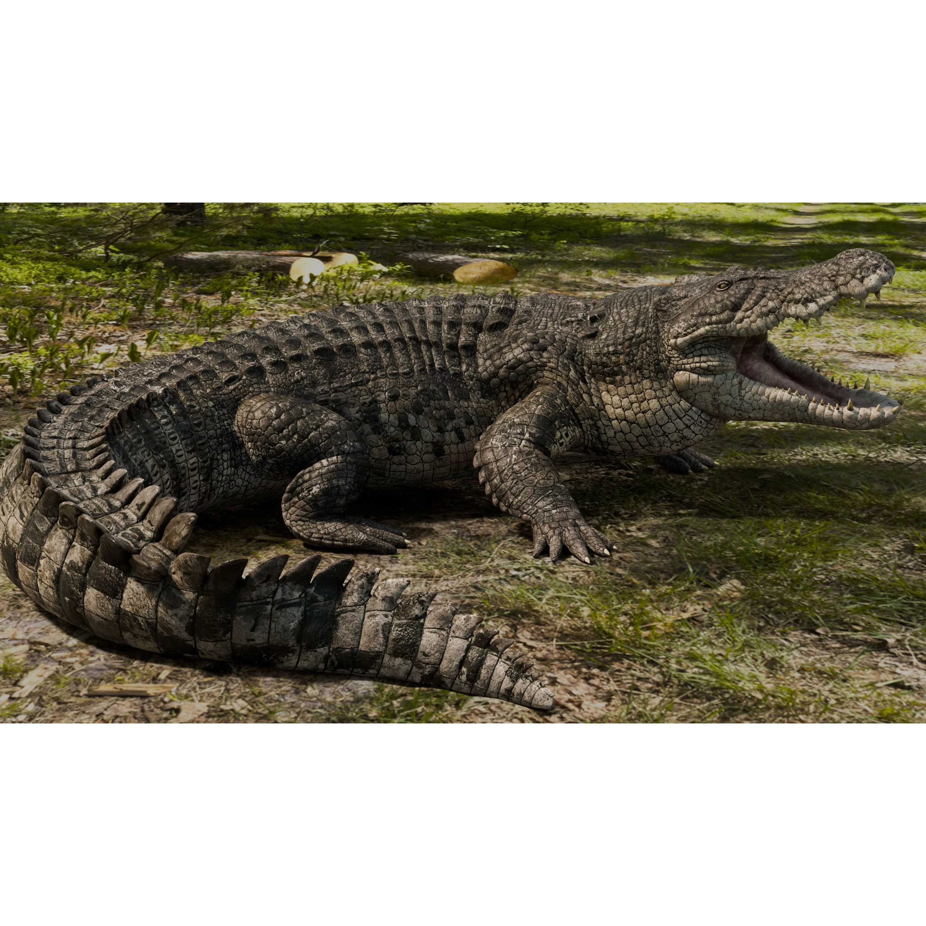 Saltwater Crocodile Animated Low-poly 3D model 7