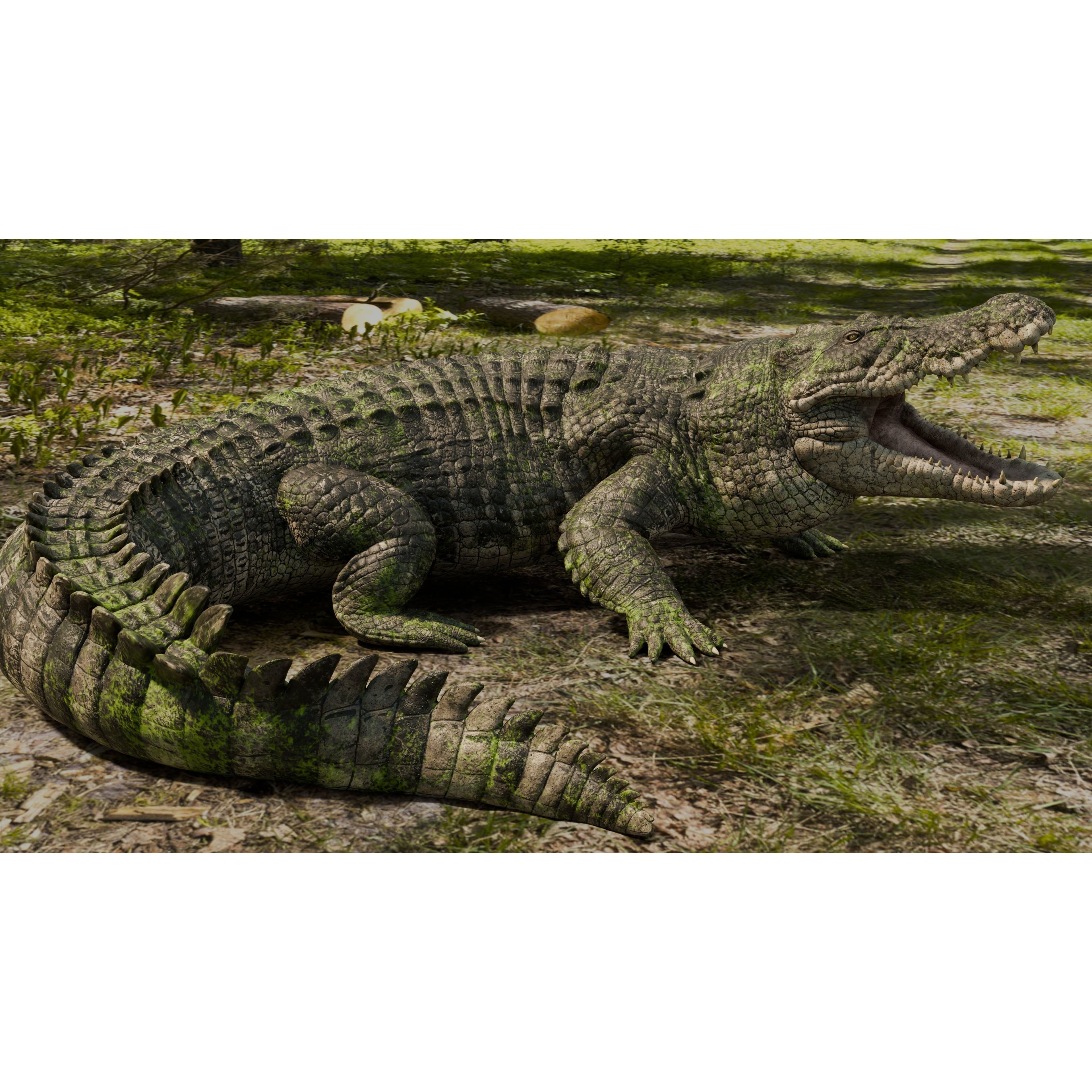 Saltwater Crocodile Animated Low-poly 3D model 9
