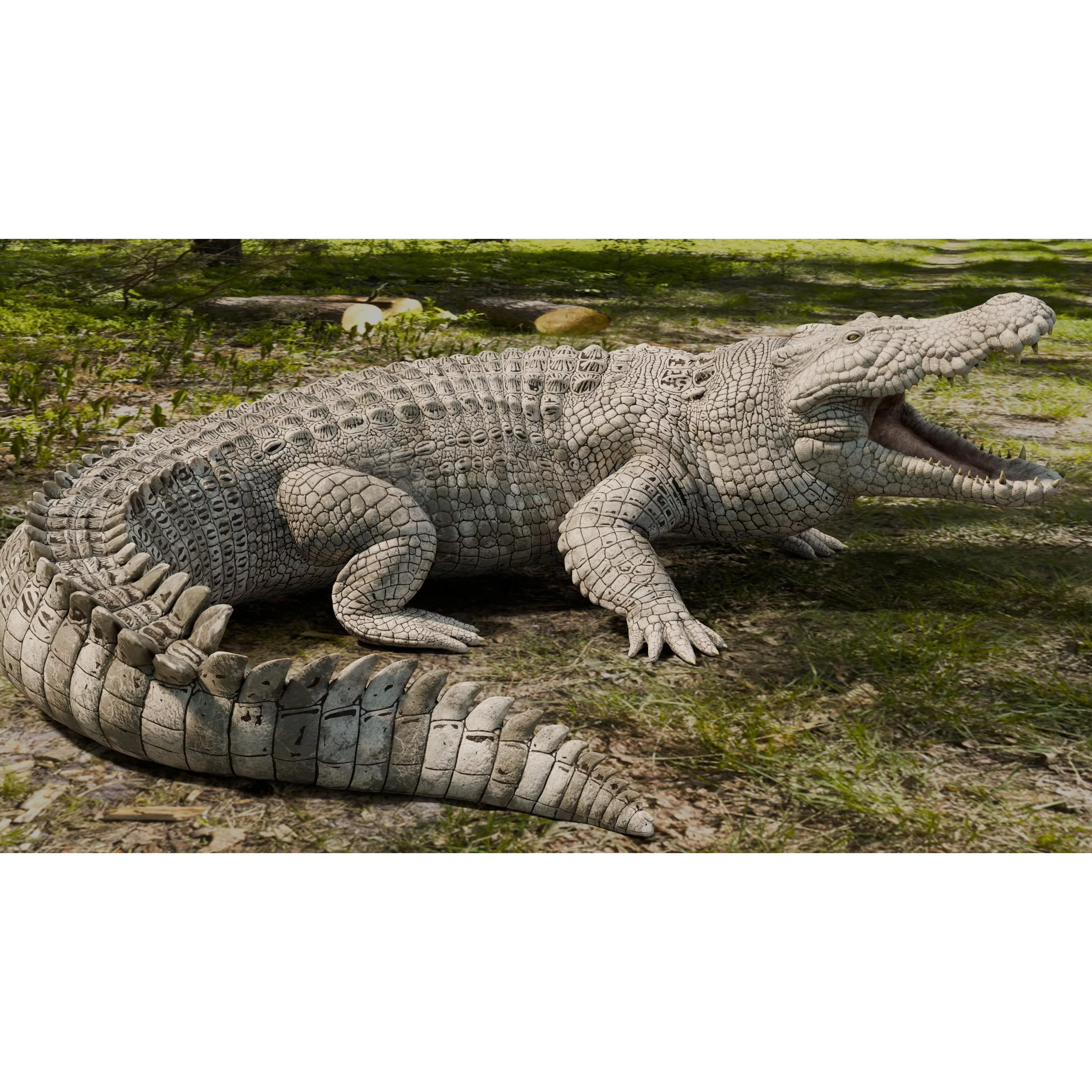 Saltwater Crocodile Animated Low-poly 3D model 10