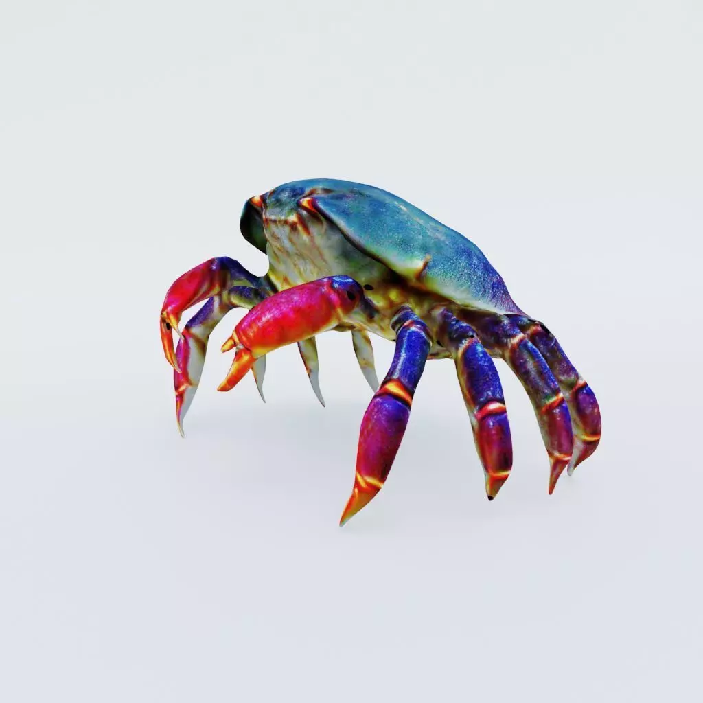 Sea Crab Free 3D model