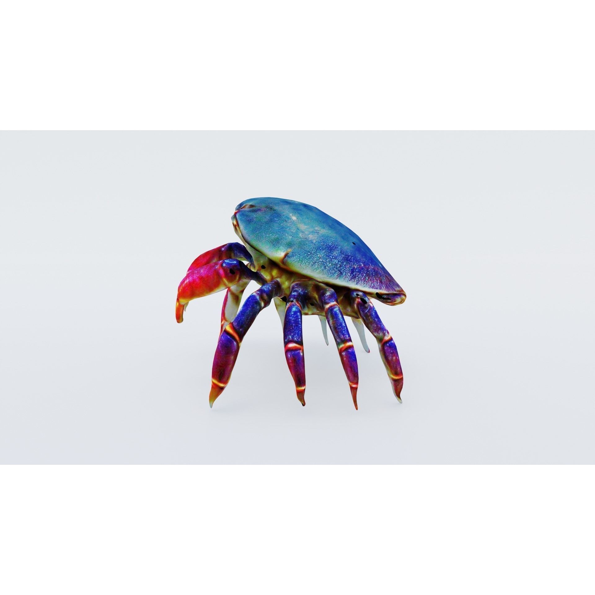 Sea Crab Free 3D model 2