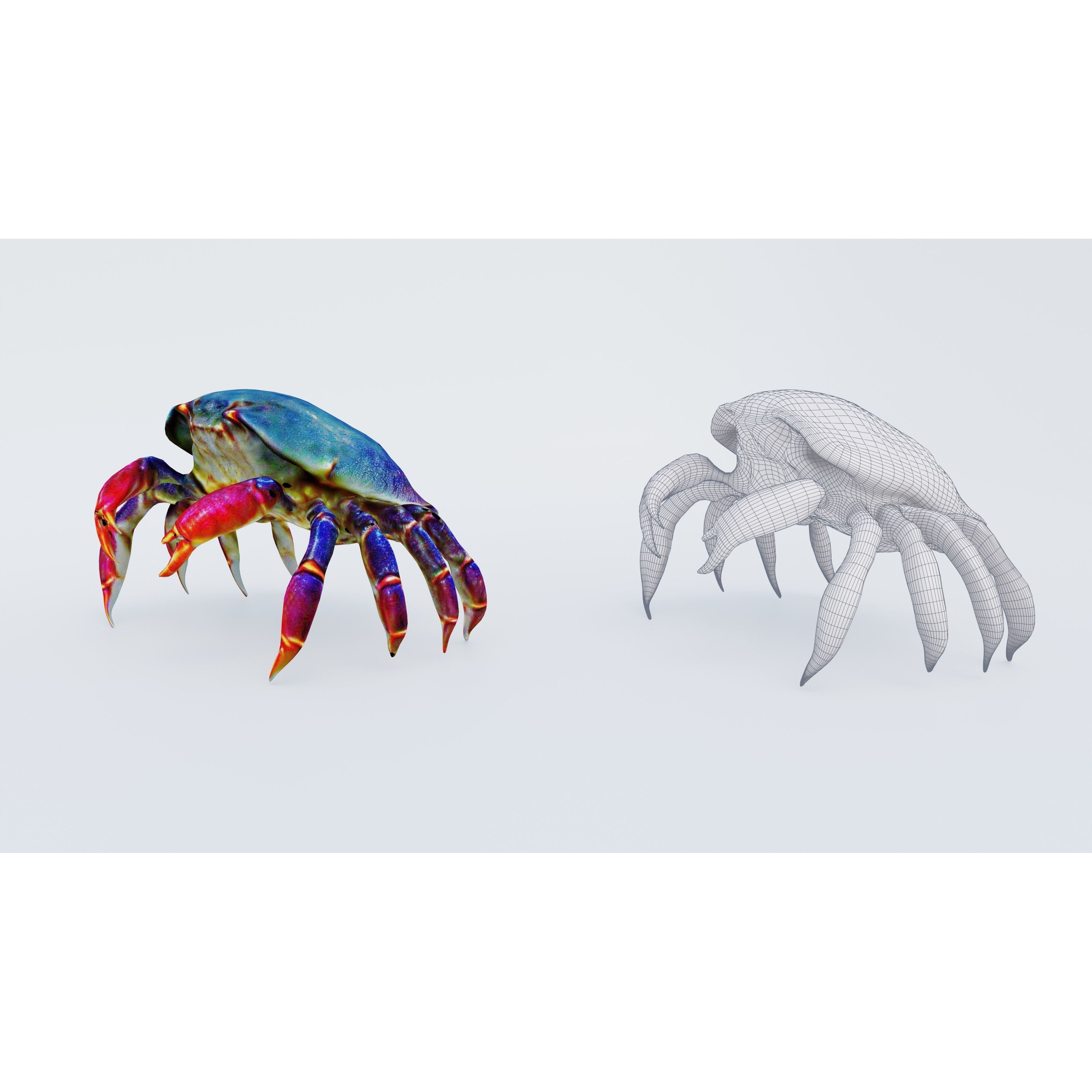 Sea Crab Free 3D model 6