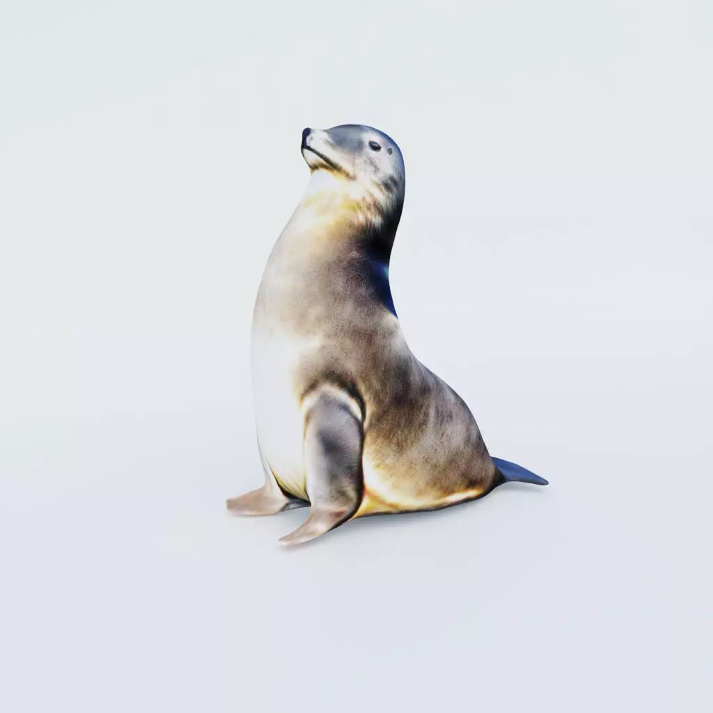 Sea Lion Free 3D model