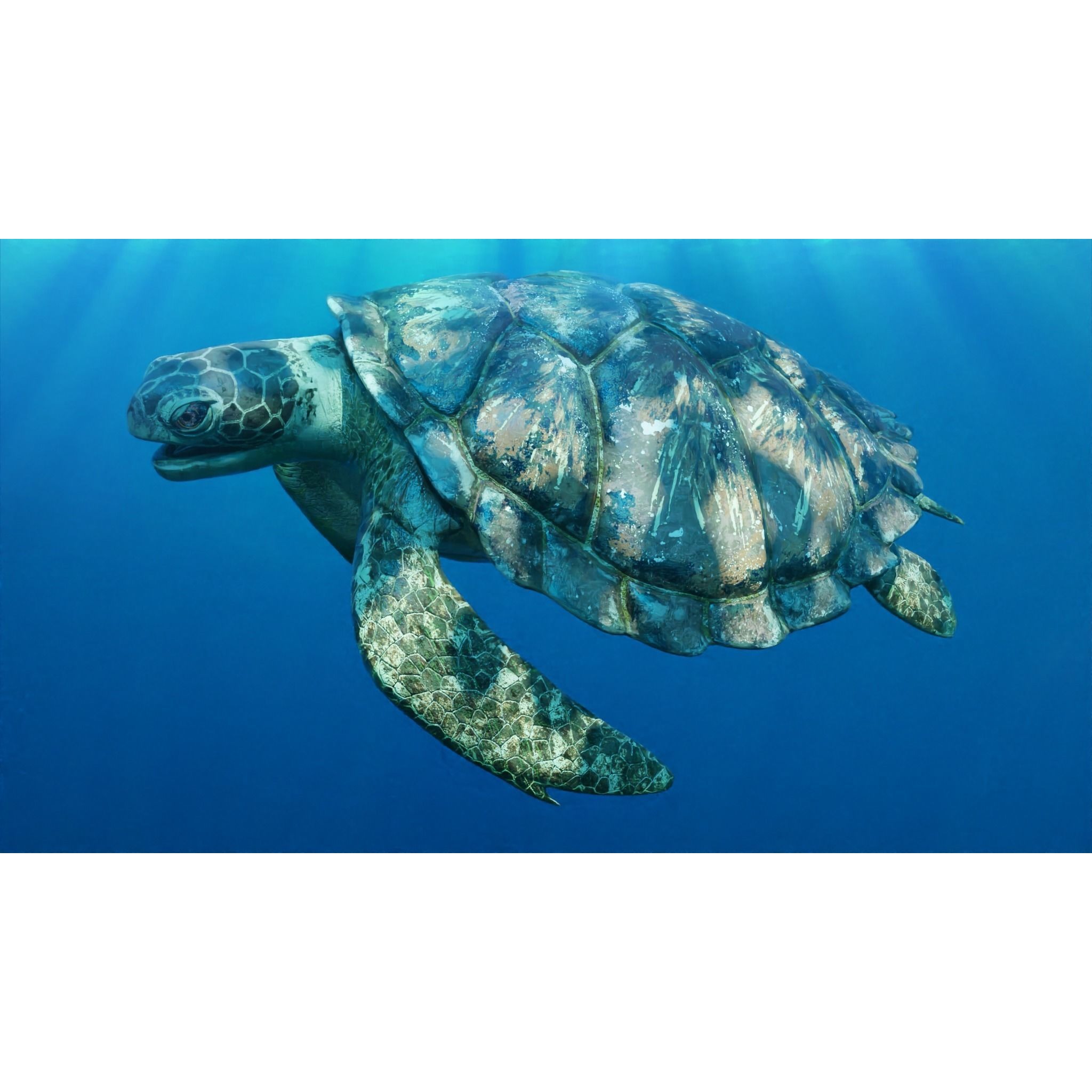 Sea Turtle Animated Low-poly 3D model 2