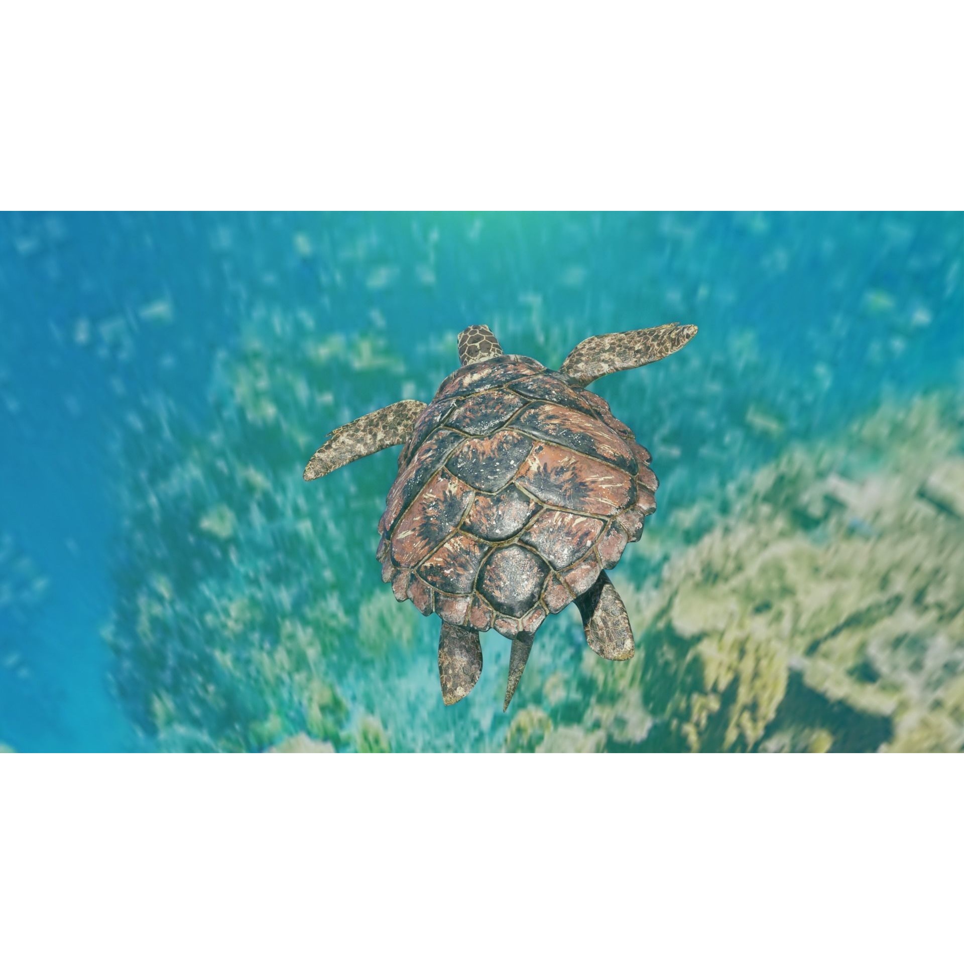 Sea Turtle Animated Low-poly 3D model 3