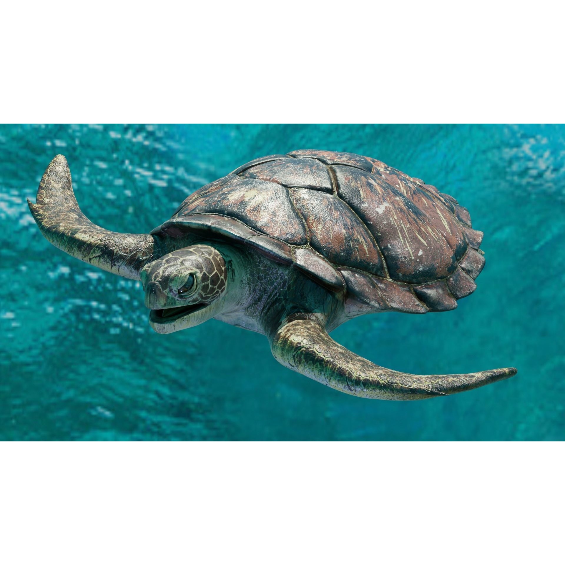 Sea Turtle Animated Low-poly 3D model 4