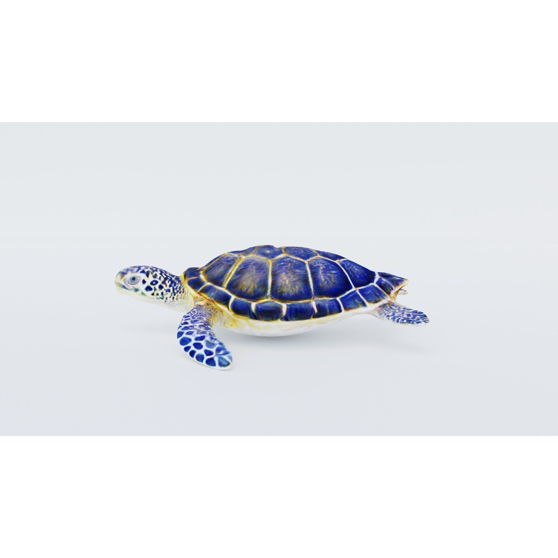Sea Turtle Free 3D model 2