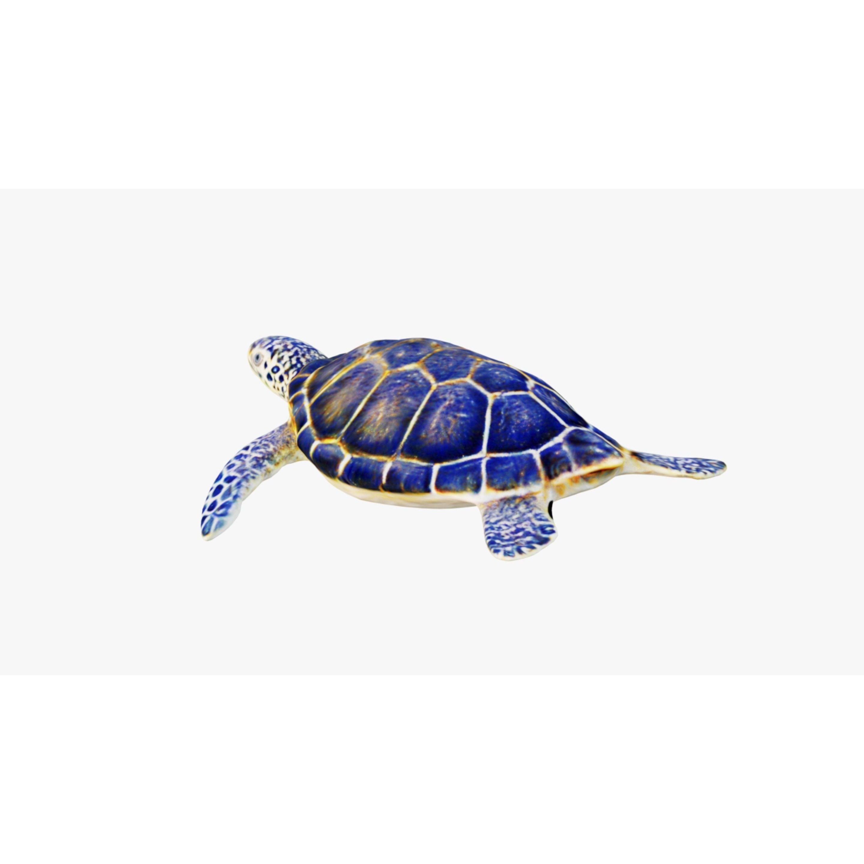 Sea Turtle Free 3D model 4
