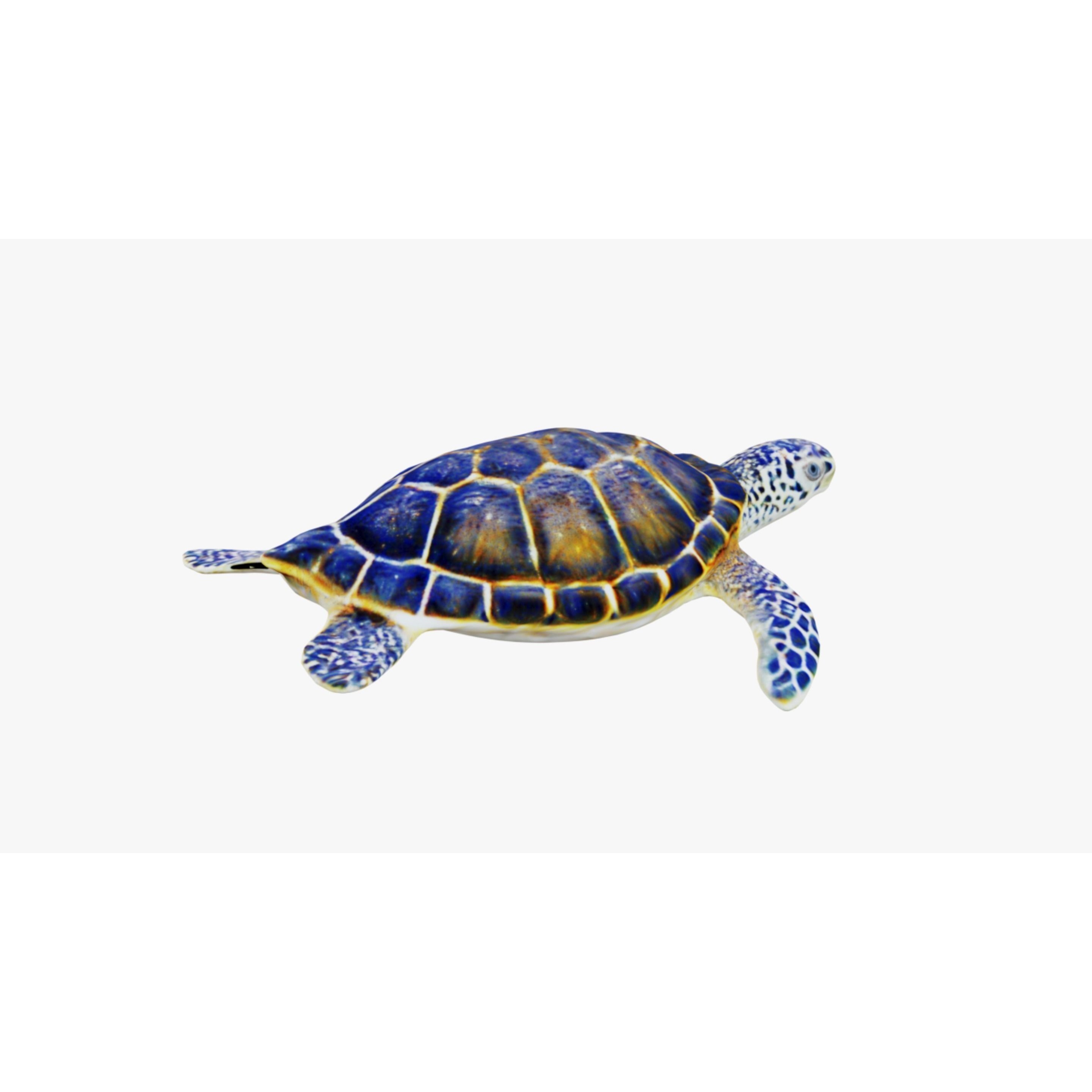 Sea Turtle Free 3D model 5