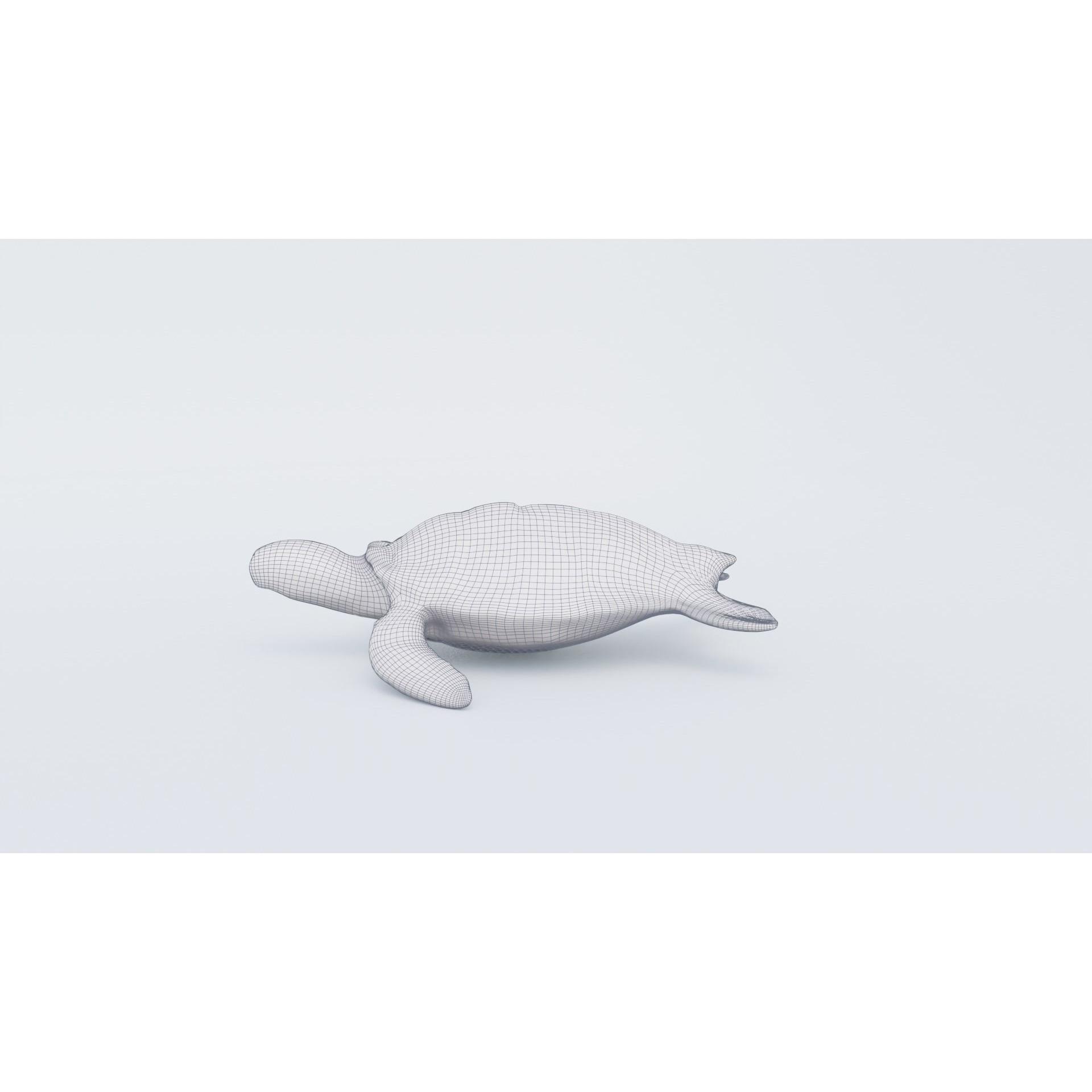 Sea Turtle Free 3D model 7